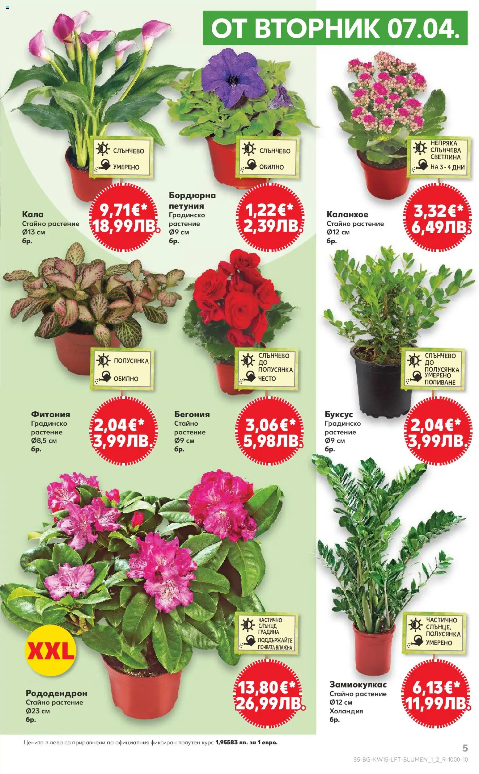 {H1} | Страница: 5