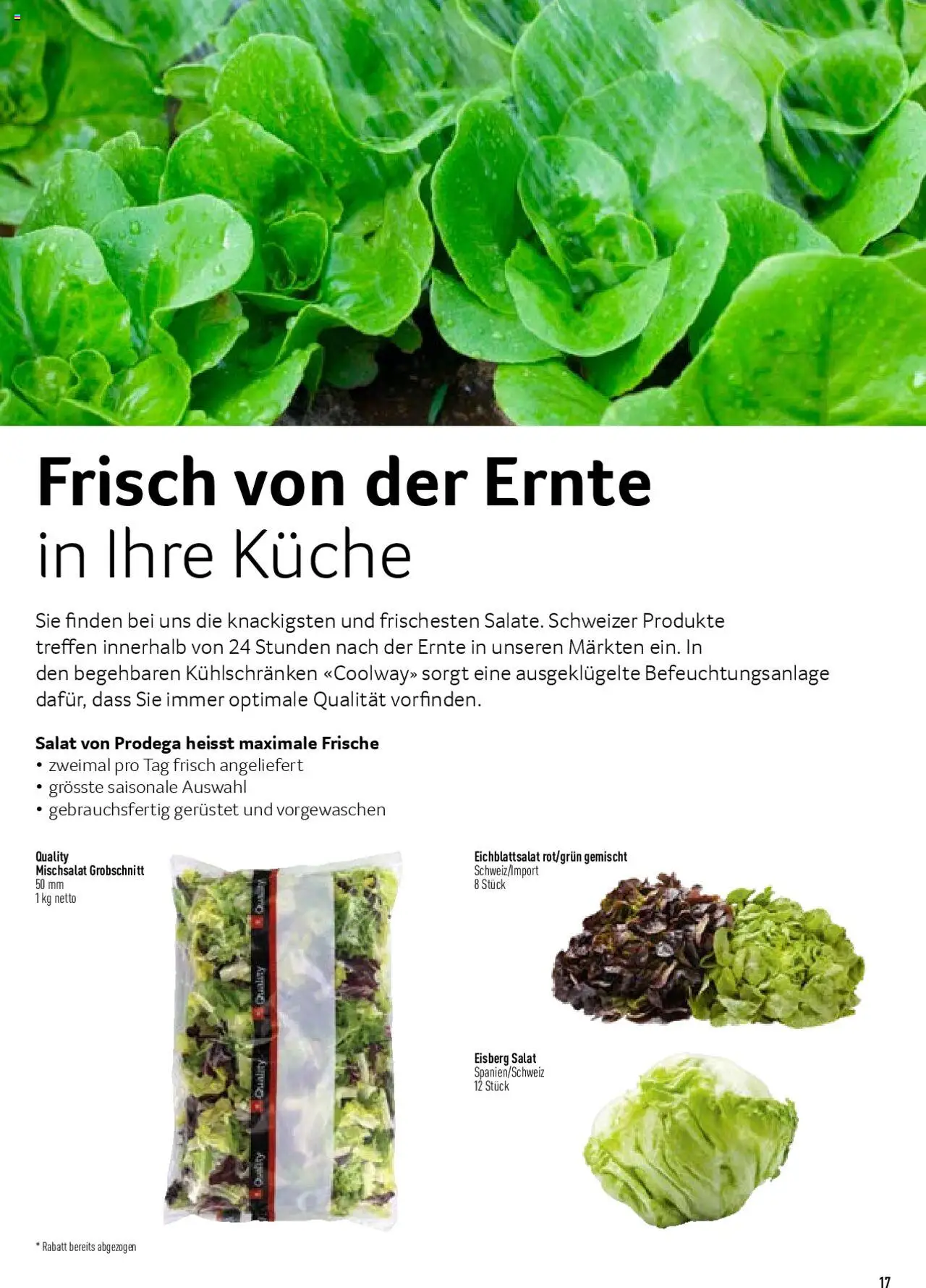 Prodega Aktionen Schweizer Armee ab 15.04.2025 | Seite: 17 | Produkte: Salat