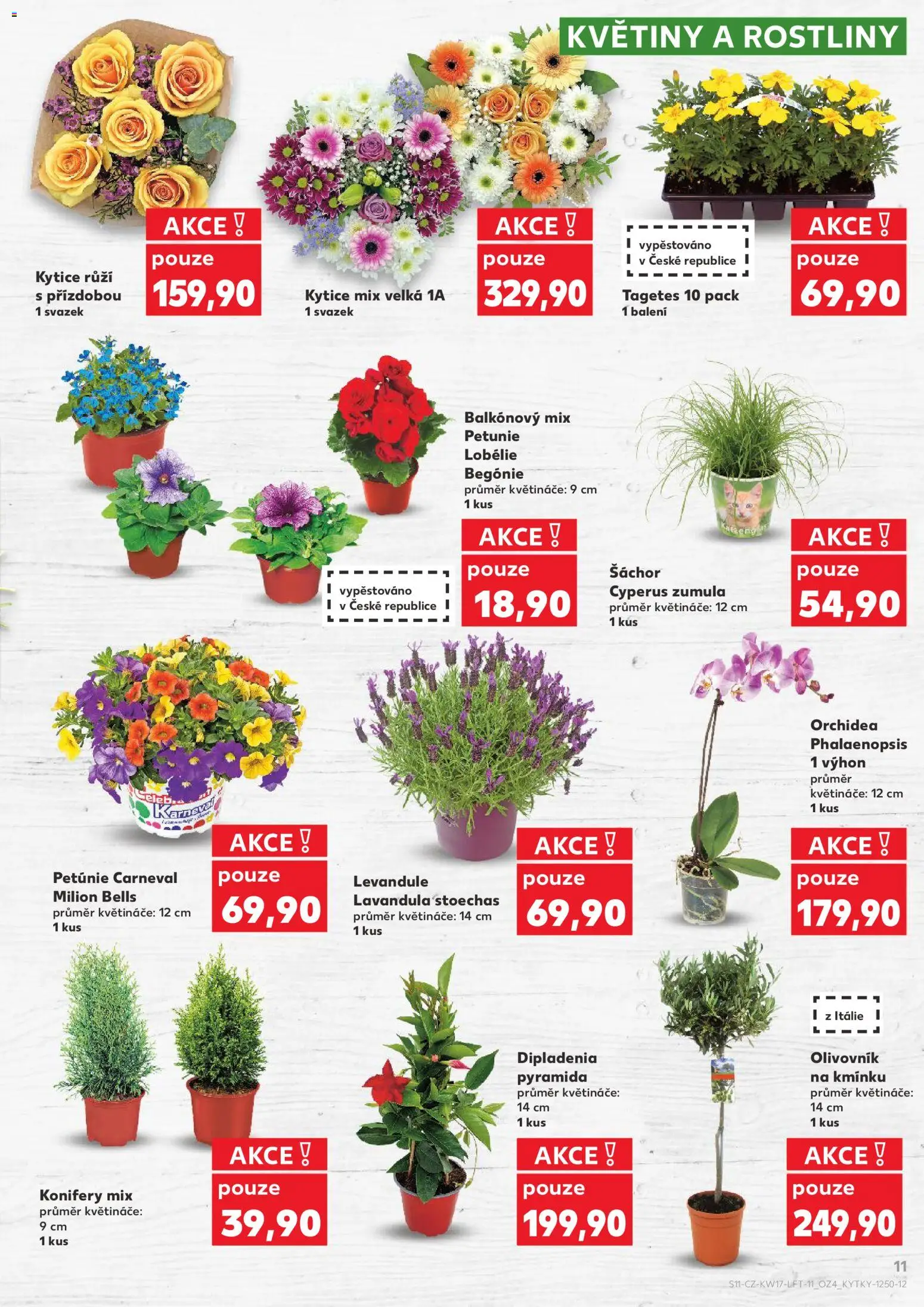 Kaufland leták - Praha 4 od 22.04.2026 | Strana: 11 | Produkty: Květináče, Rostliny, Kytice, Květiny
