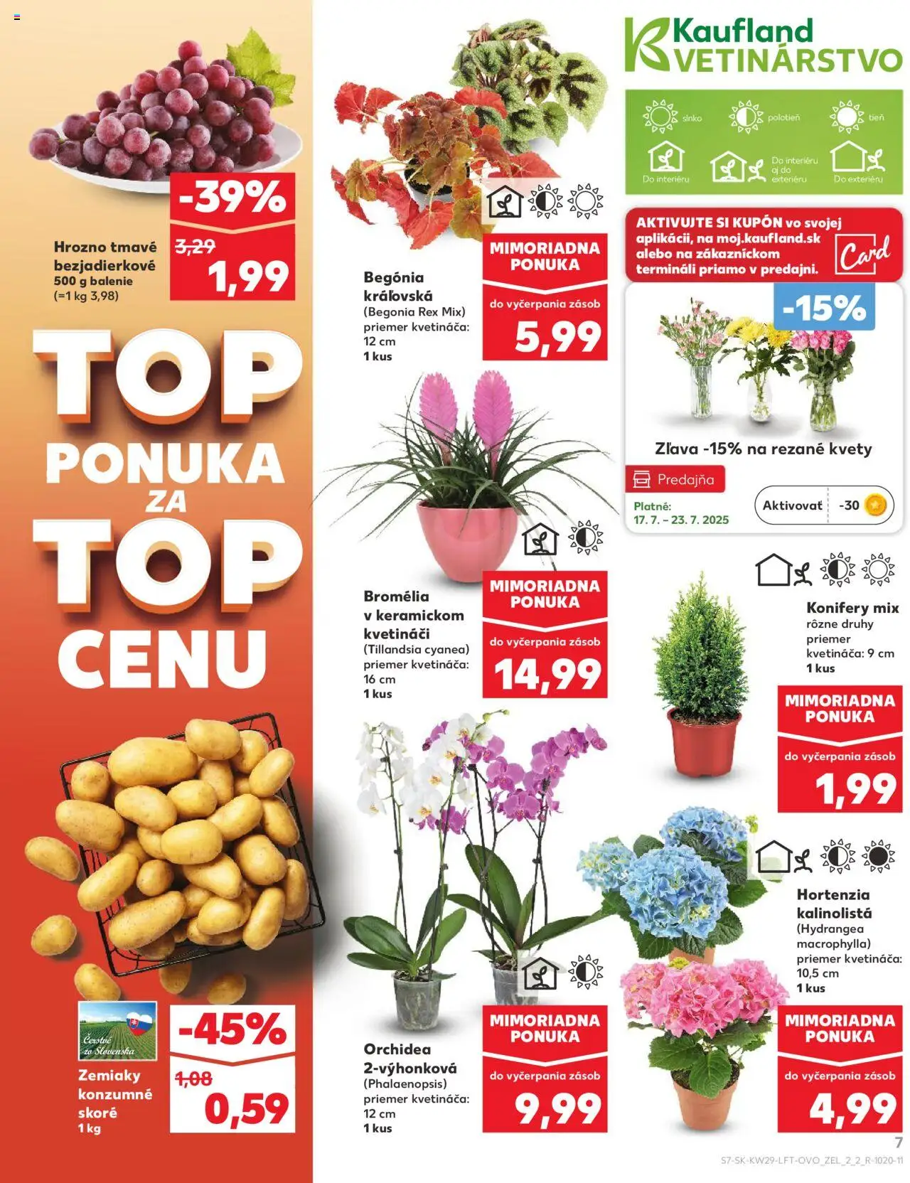 Nové Kaufland akcie – leták je platný od 17.07.2025 | Strana: 7 | Produkty: Zemiaky, Kvety, Orchidea, Hrozno
