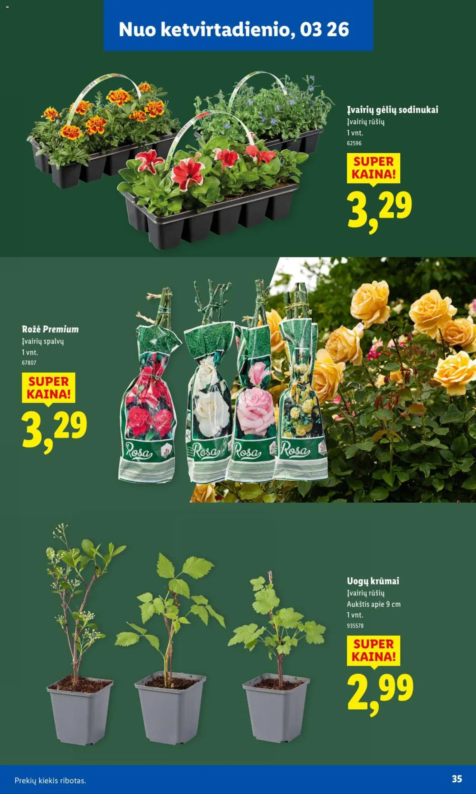 LIDL akcijos nuo 09.02.2026 | Puslapis: 34