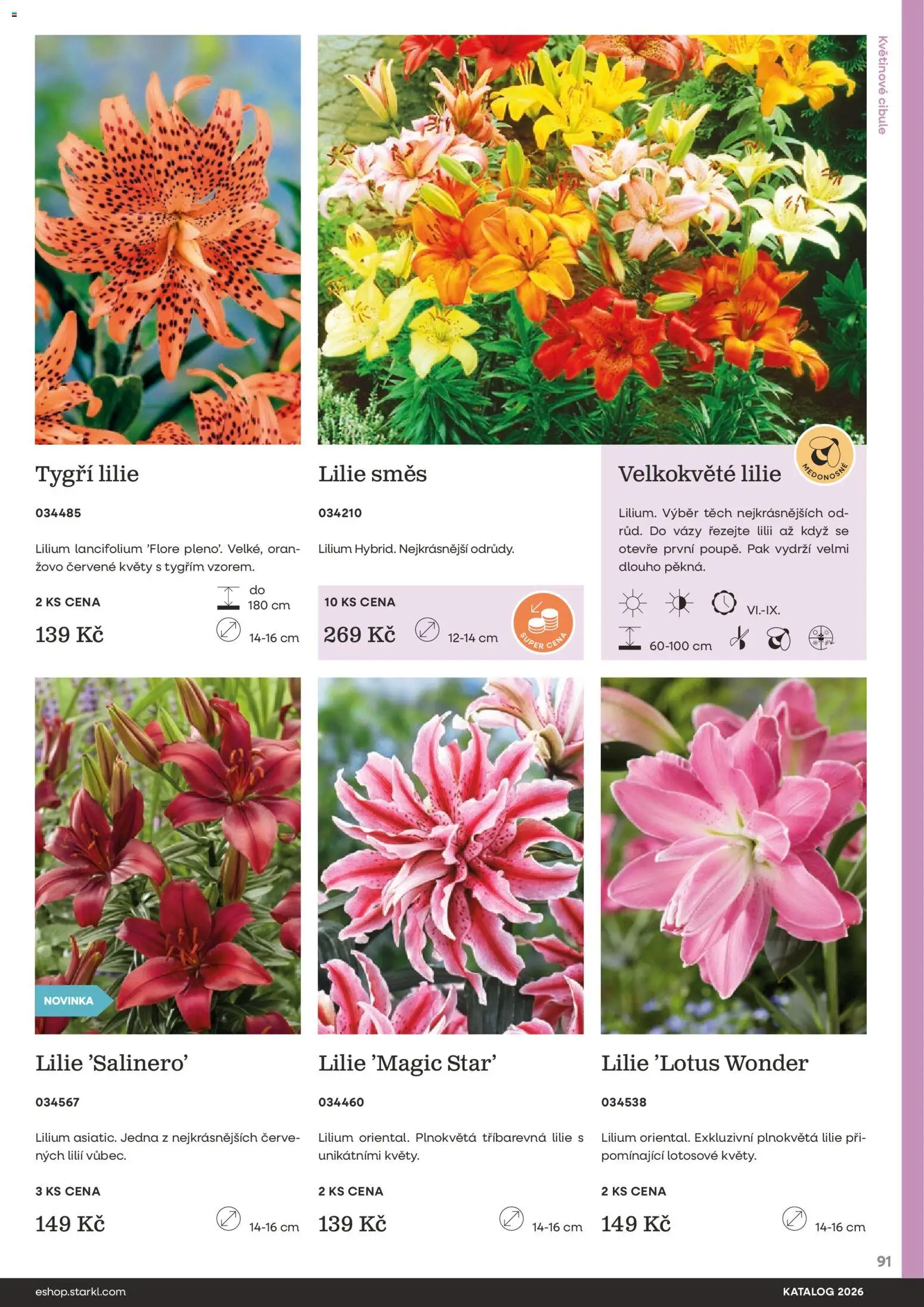 Starkl katalog od 25.02.2026 | Strana: 91 | Produkty: Vázy, Cibule