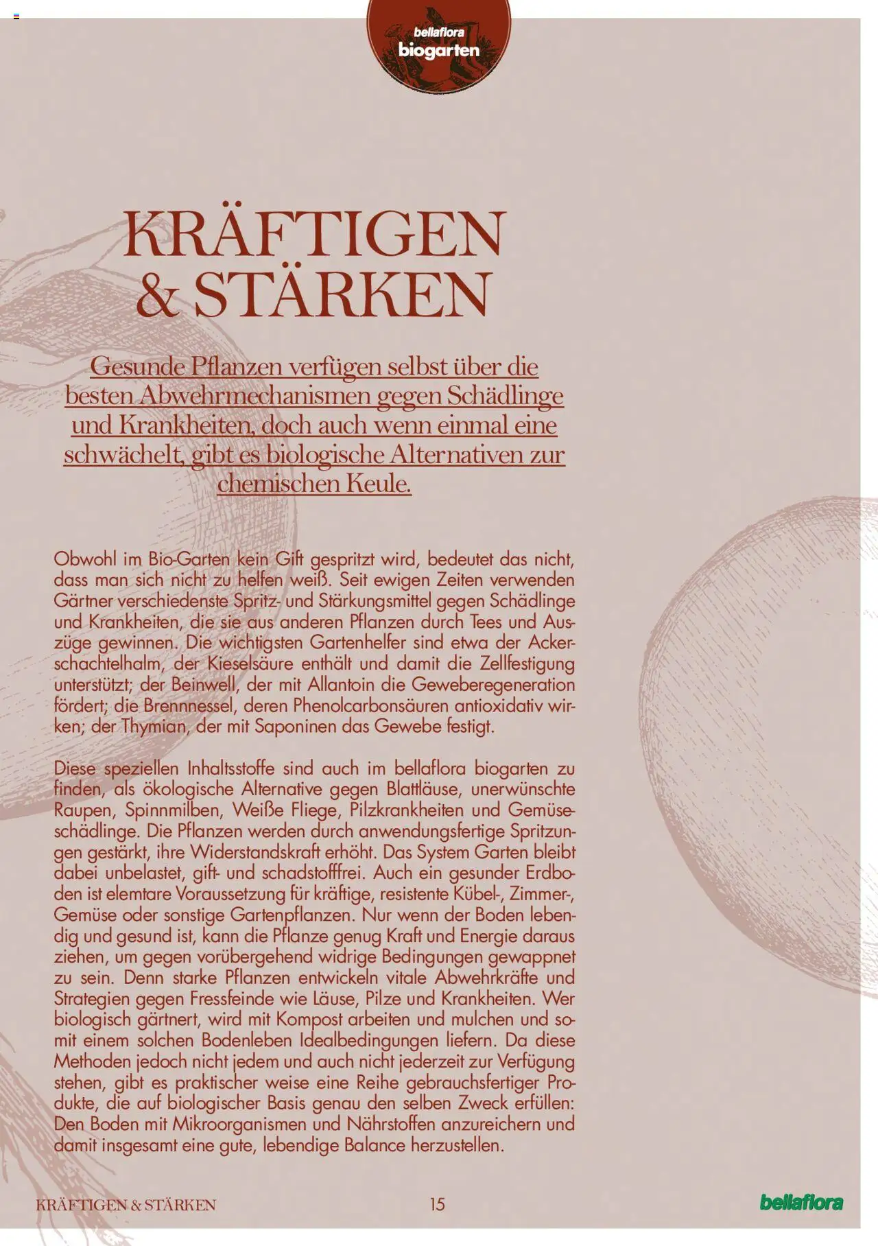 bellaflora Flugblatt gültig ab 24.06.2022 | Seite: 15