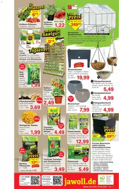 Wiglo Wunderland Prospekt ab 23.03.2026 gültig | Seite: 16 | Produkte: Spiel, Blumentopf, Tomaten, Wasser