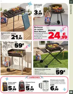 Vista previa Carrefour Jardin válido desde el 13.03.2026 | Página: 31