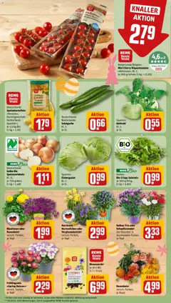 Blumenerde¹, je 50-l-Btl. ab 23.03.2026 gültig | Seite: 9 | Produkte: Kohlrabi, Eisbergsalat, Blumenerde