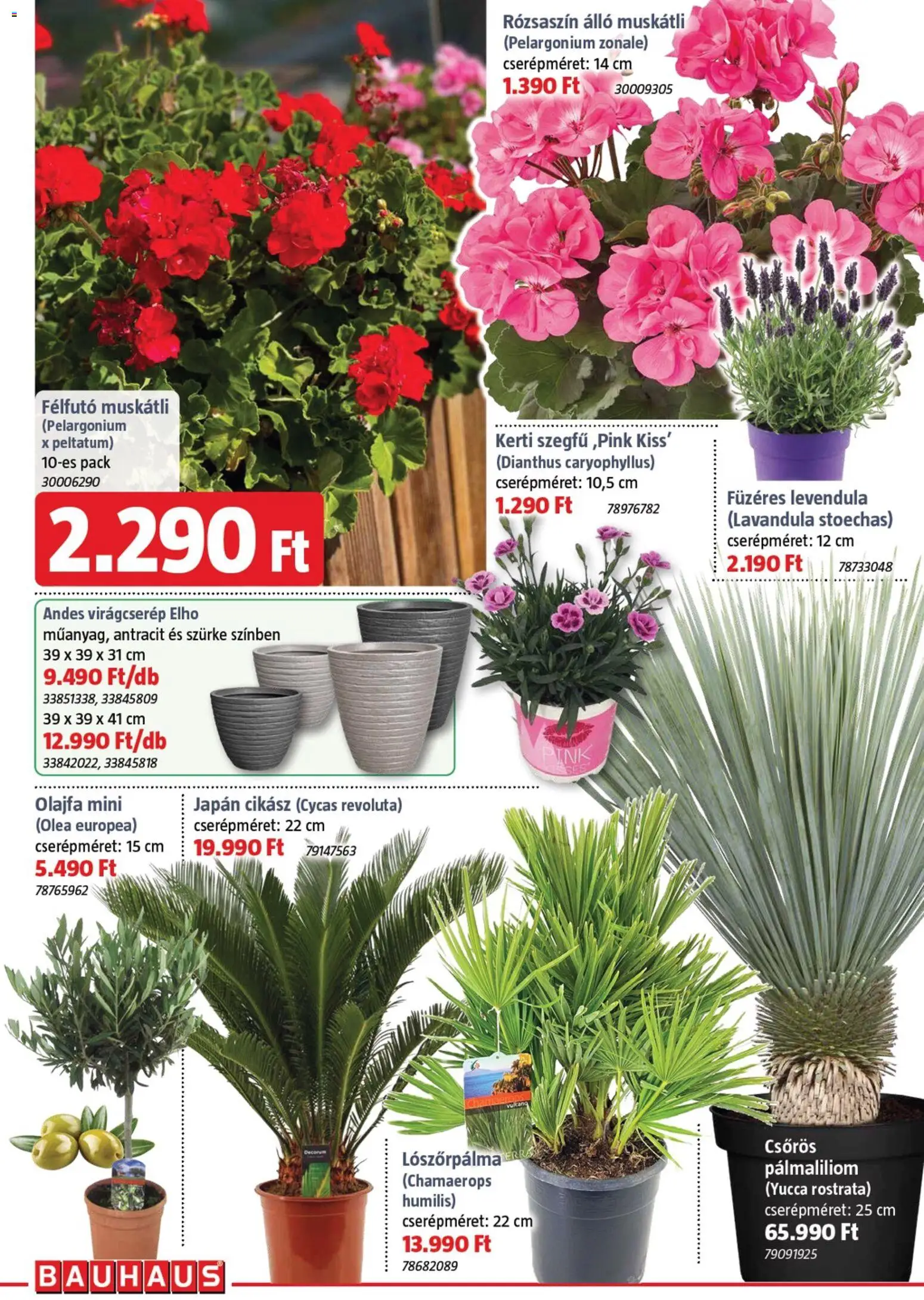 Bauhaus akciós ujság - amely érvényes a következő dátumtól: 02.04.2026 | Oldal: 2 | Termékek: Virágcserép, Levendula