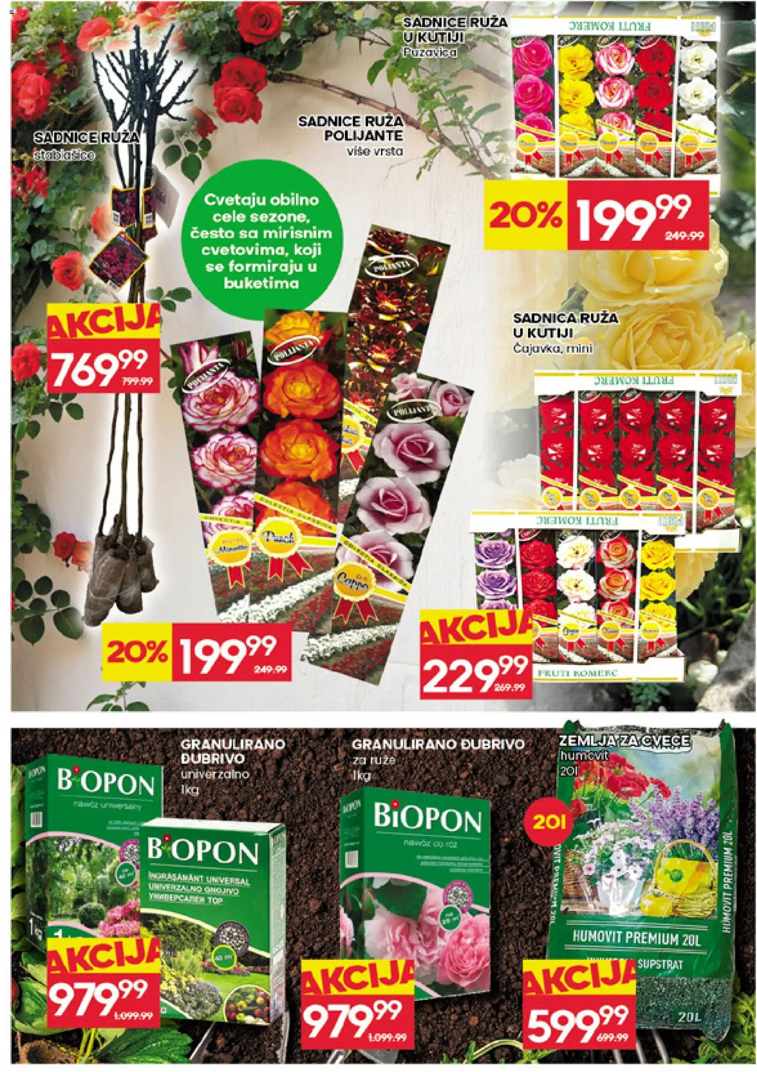 Idea katalog - važi od 19.03.2026 | Strana: 31 | Proizvode: Zemlja, Ruze, Cvece