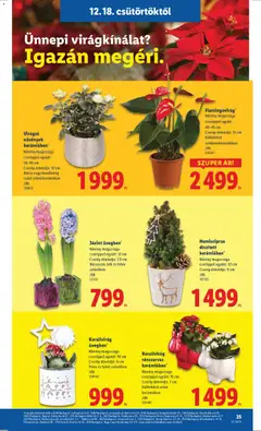 Jácint üvegben, Növény magassága cseréppel együtt: 12 cm. Cserép átmérője: 7,5 cm. Rózsaszín, kék és fehér színekben - amely érvényes a következő dátumtól: 18.12.2025 | Oldal: 25