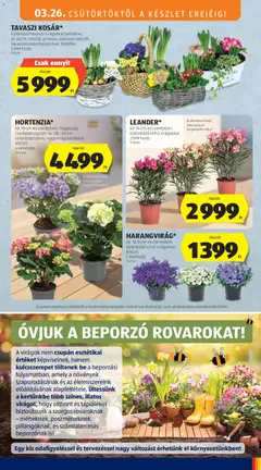 Aldi akciós újság - amely érvényes a következő dátumtól: 26.03.2026 | Oldal: 51