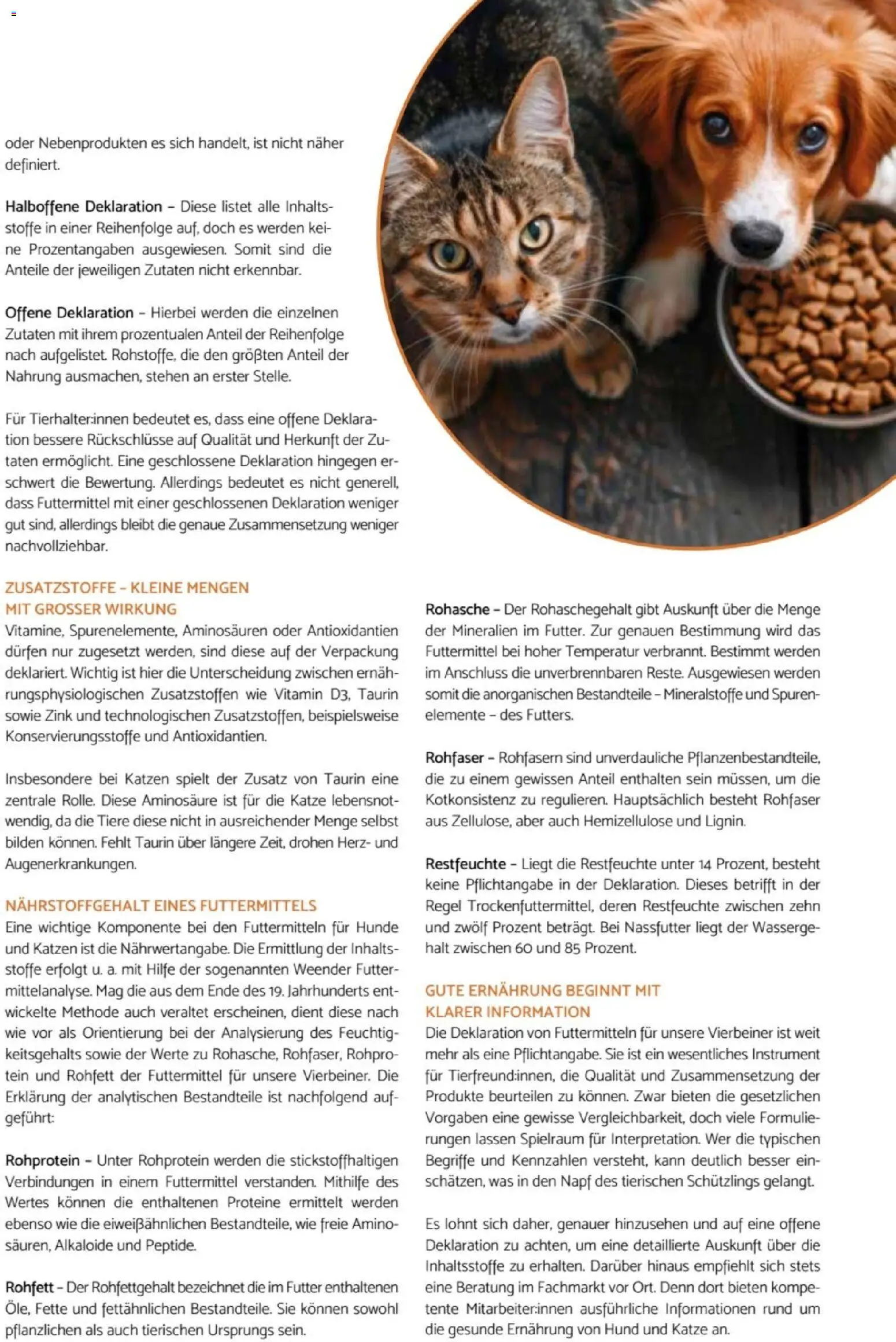 zookauf  Heimtier Journal – gültig ab 01.02.2026 | Seite: 33