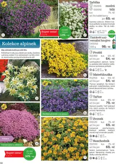 Náhled letáku Starkl katalog podzim 2025 od 01.08.2025 | Strana: 50