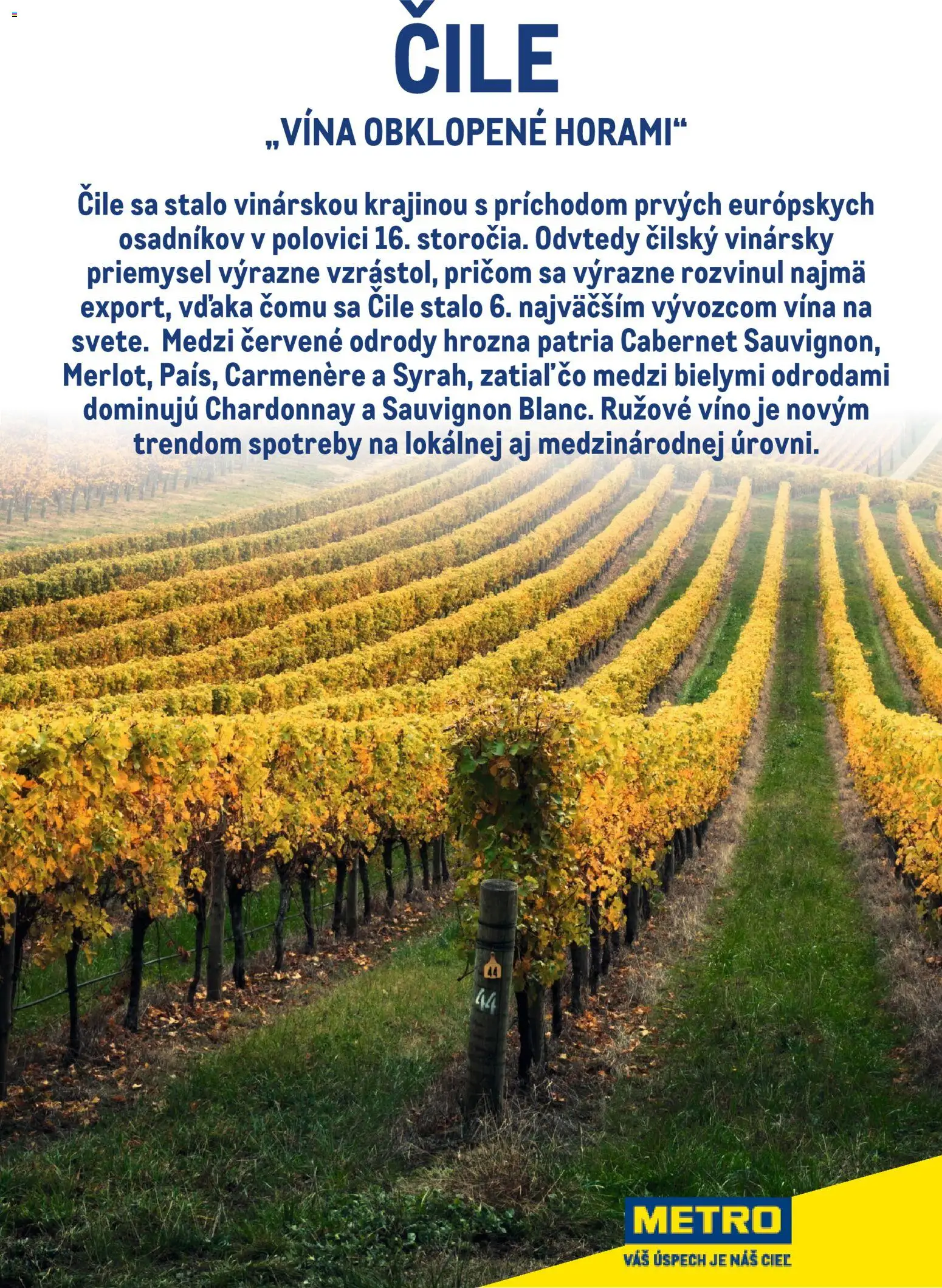 Nové Metro akcie – leták je platný od 01.01.2026 | Strana: 40 | Produkty: Víno, Rúžové víno