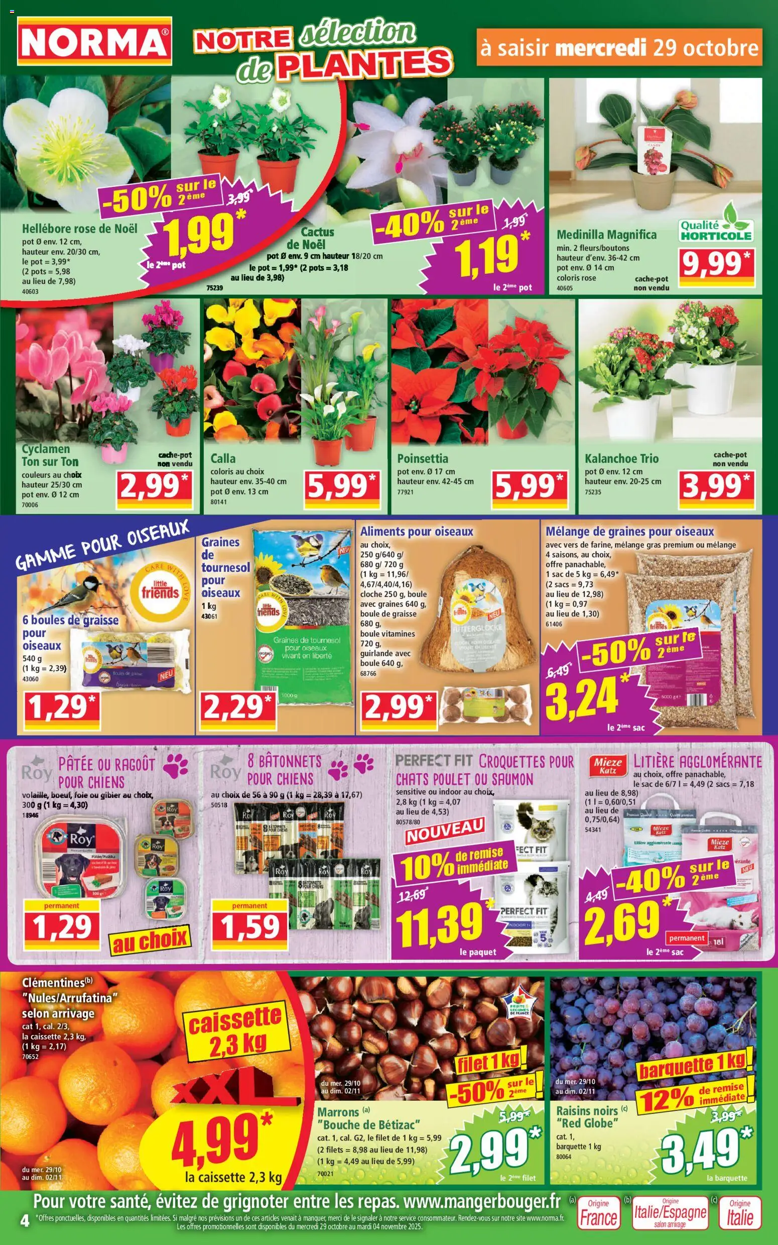{H1} | Page: 4 | Produits: Plantes, Litière, Cloche, Saumon