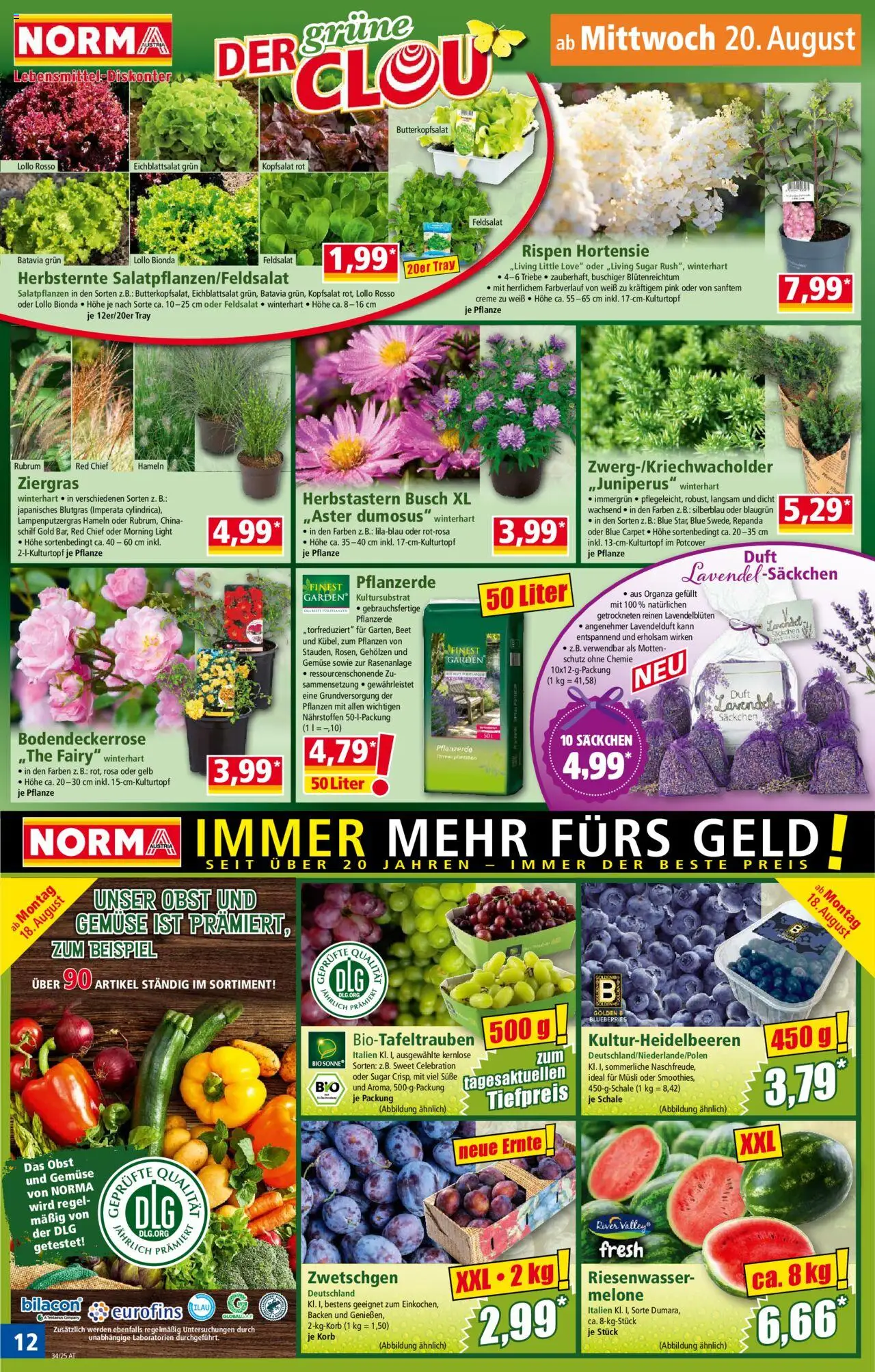 Norma Flugblatt gültig ab 18.08.2025 | Seite: 12 | Produkte: Obst, Korb, Duft, Creme