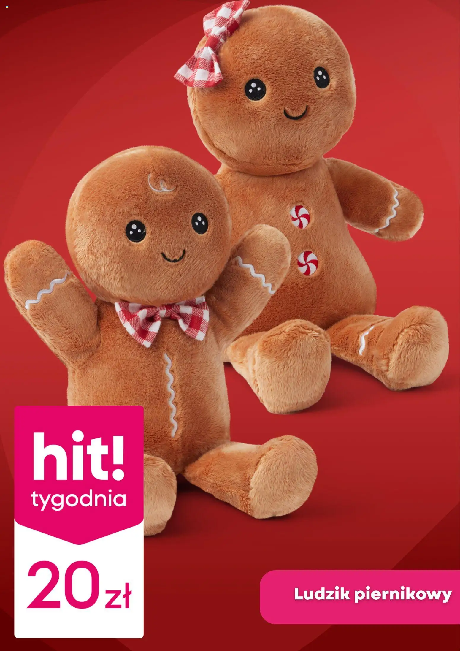 Pepco Gazetka od 04.12.2025 | Strona: 4