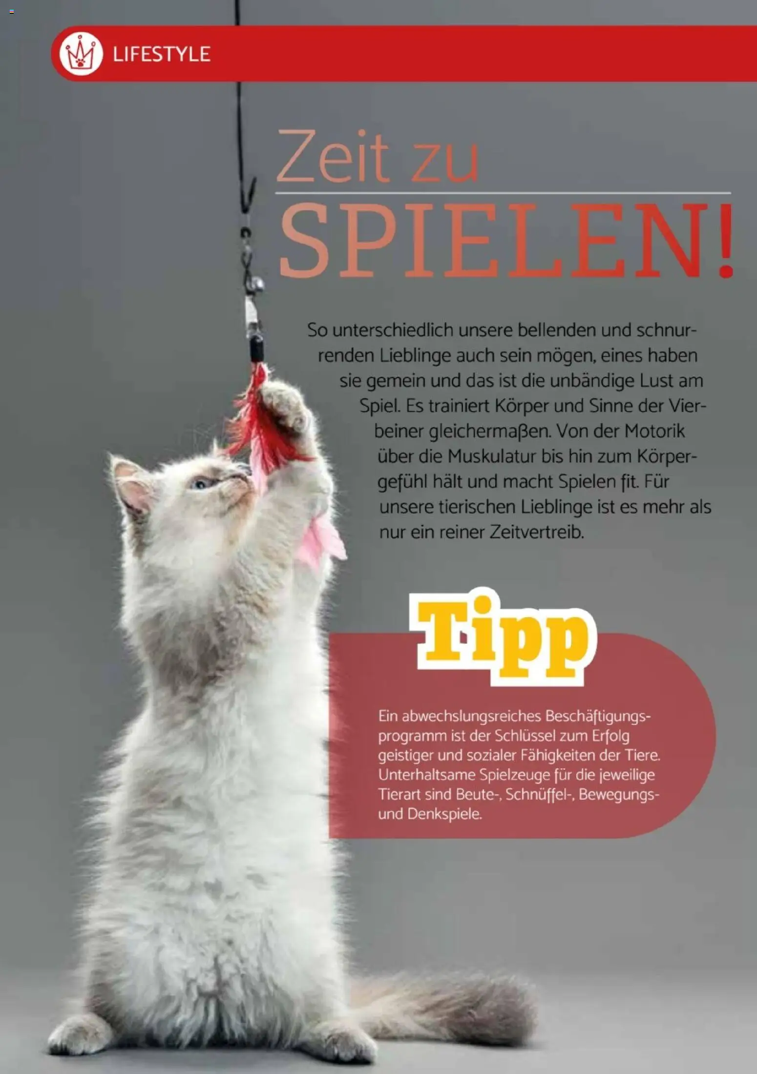 zookauf  Heimtier Journal Special – gültig ab 01.04.2026 | Seite: 4