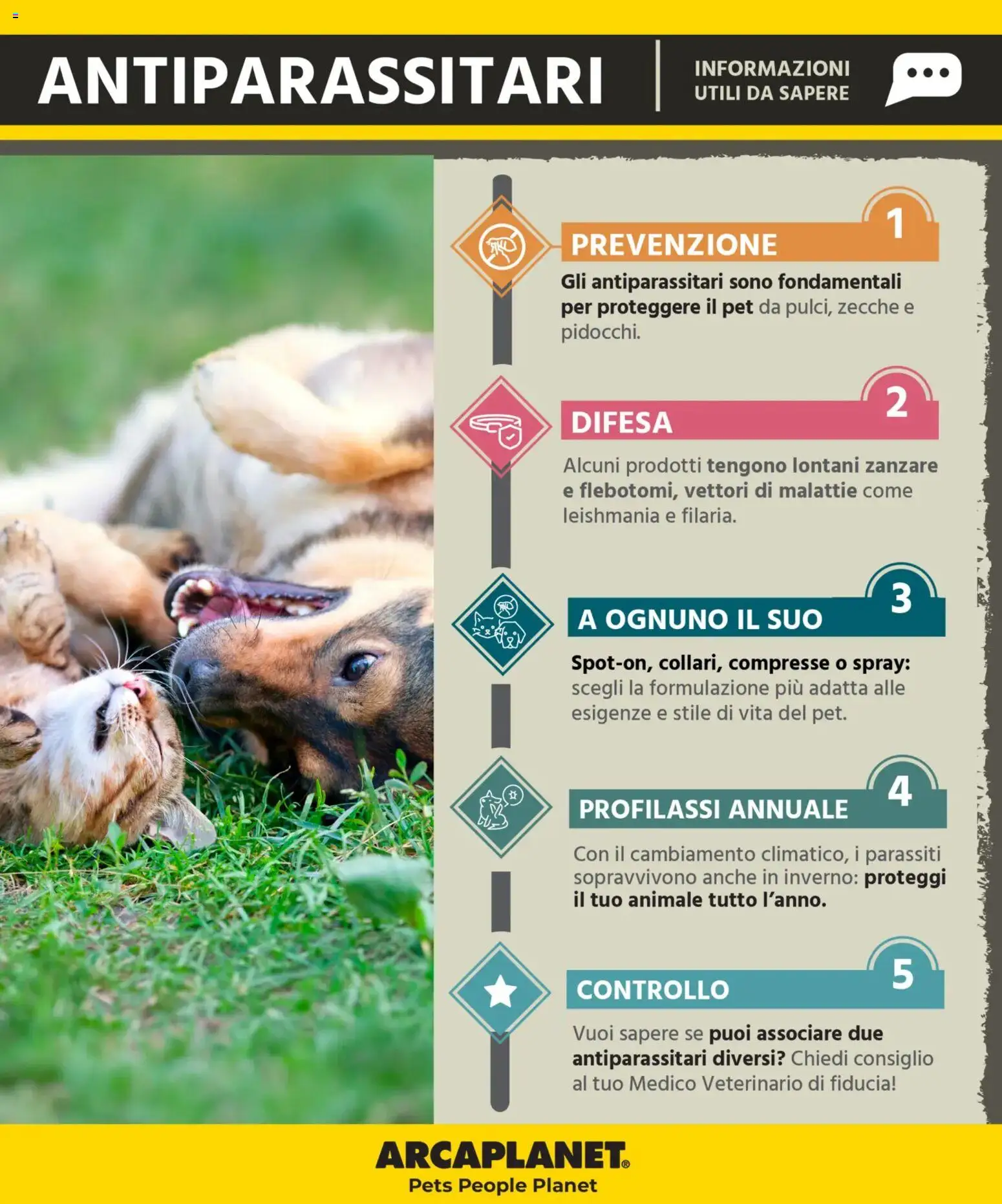 Volantino Arcaplanet del 02.03.2026 | Pagina: 8