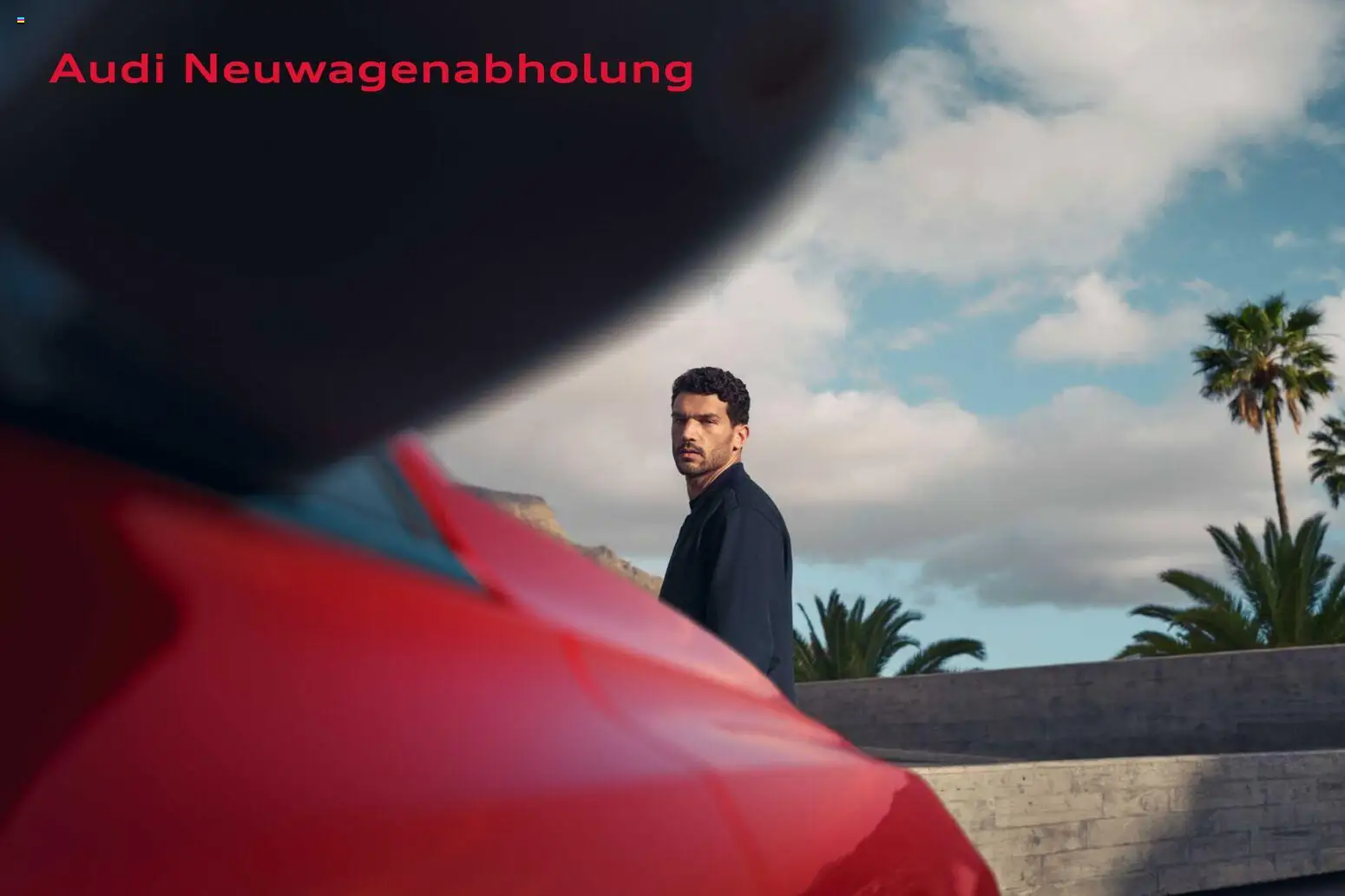 Audi Preisliste RS Q8 SUV/ RS Q8 SUV performance – gültig ab 03.11.2025 | Seite: 94