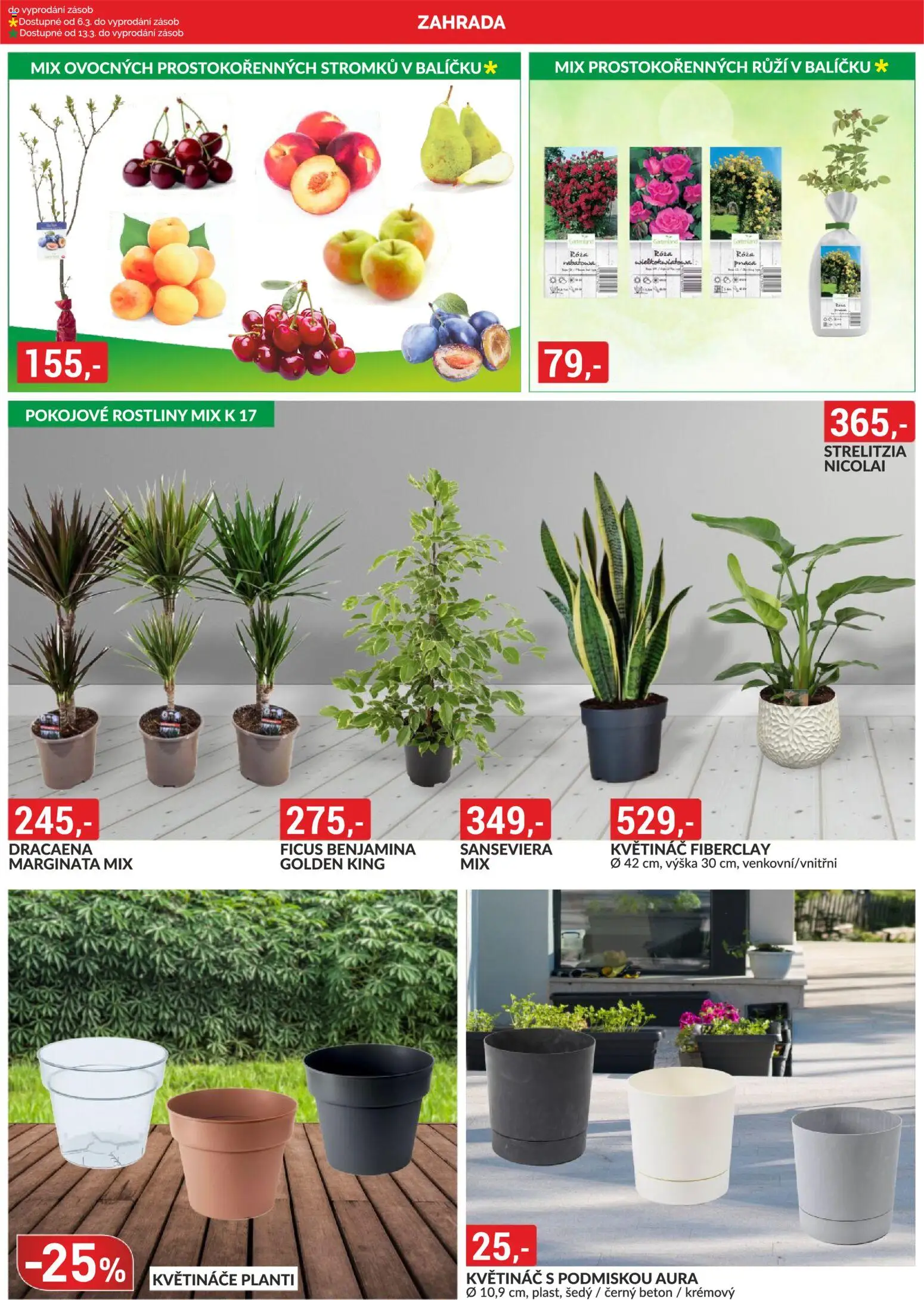 BAUMAX leták od 01.03.2026 | Strana: 6 | Produkty: Zahrada, Rostliny, Pokojové rostliny, Květináč