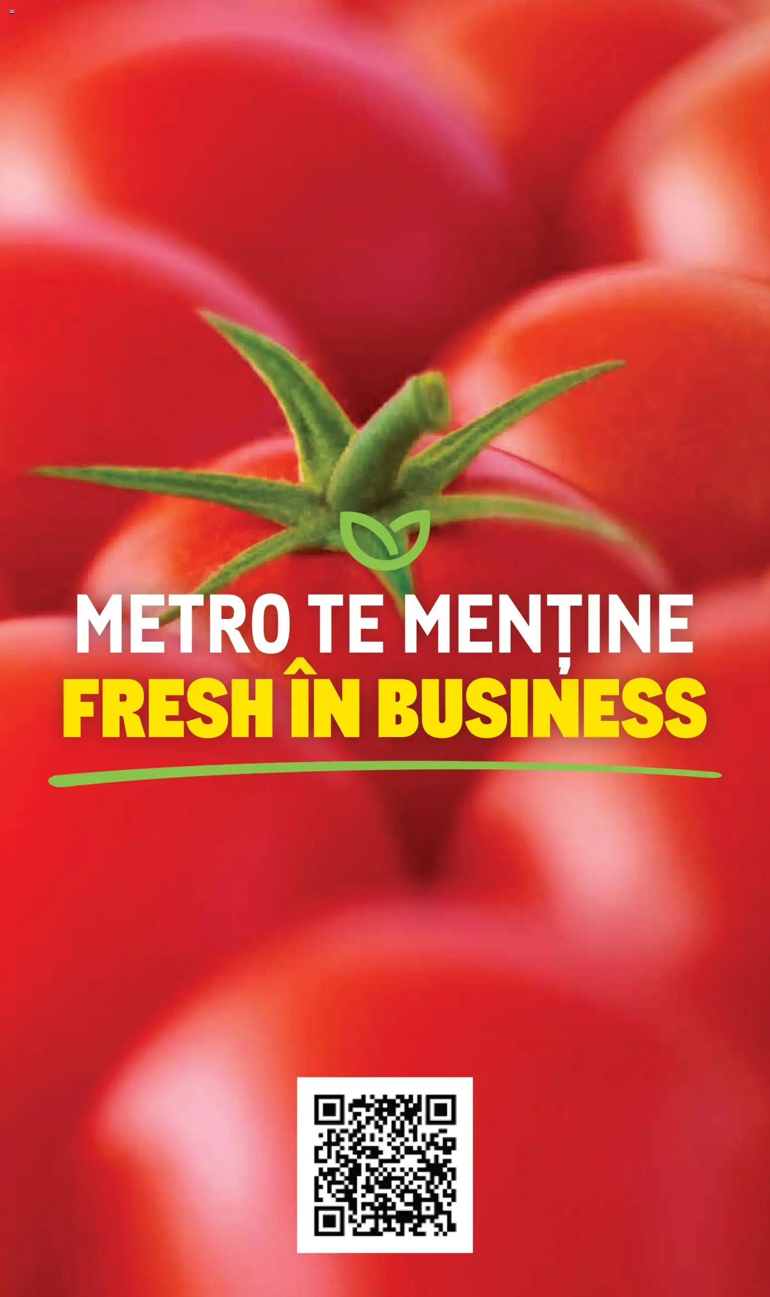 Noul catalog Metro – valabil de la 10.11.2025 | Pagină: 12