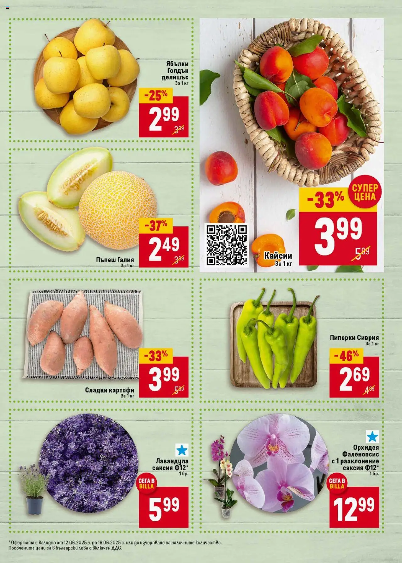 | Страница: 9 | Продукти: Пъпеш, Кайсии, Пиперки, Саксия