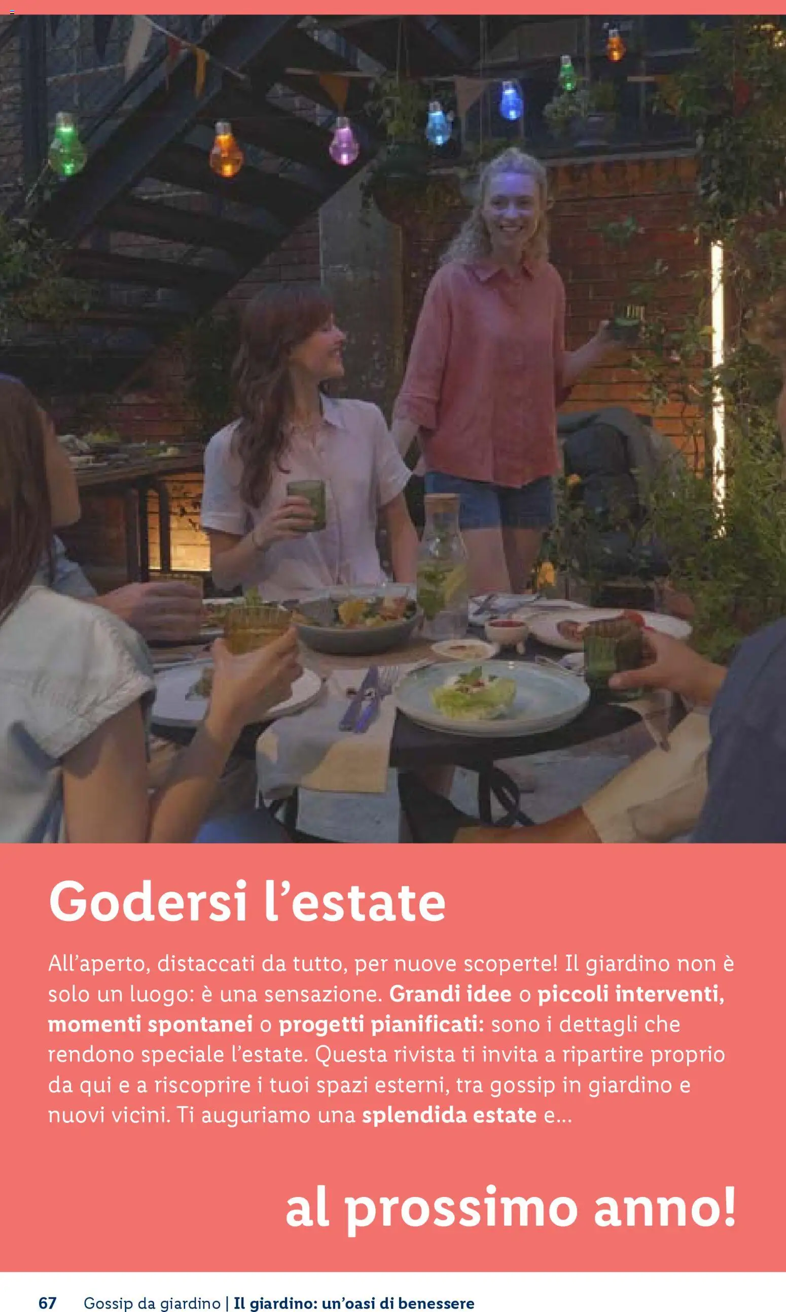 Volantino Lidl del 23.04.2026 | Pagina: 67