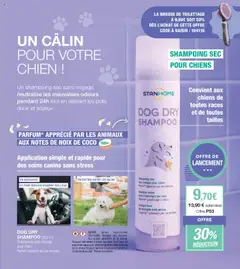  | Page: 13