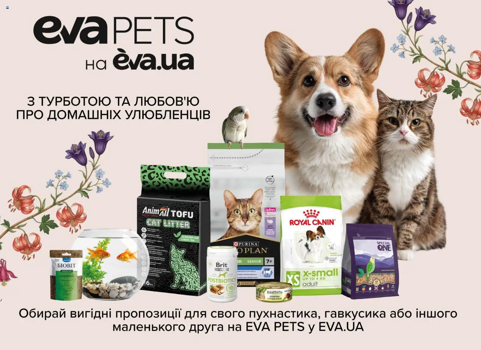 Eva Kаталог - дійснийкції з 19.02.2026 | Сторінка: 46