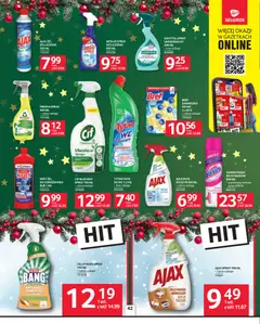 Pogląd oferty "Selgros cash&carry Gazetka" - ważna od 04.12.2025 | Strona: 33 | Produkty: Meglio, Vanish, Soda oczyszczona, Cleaner