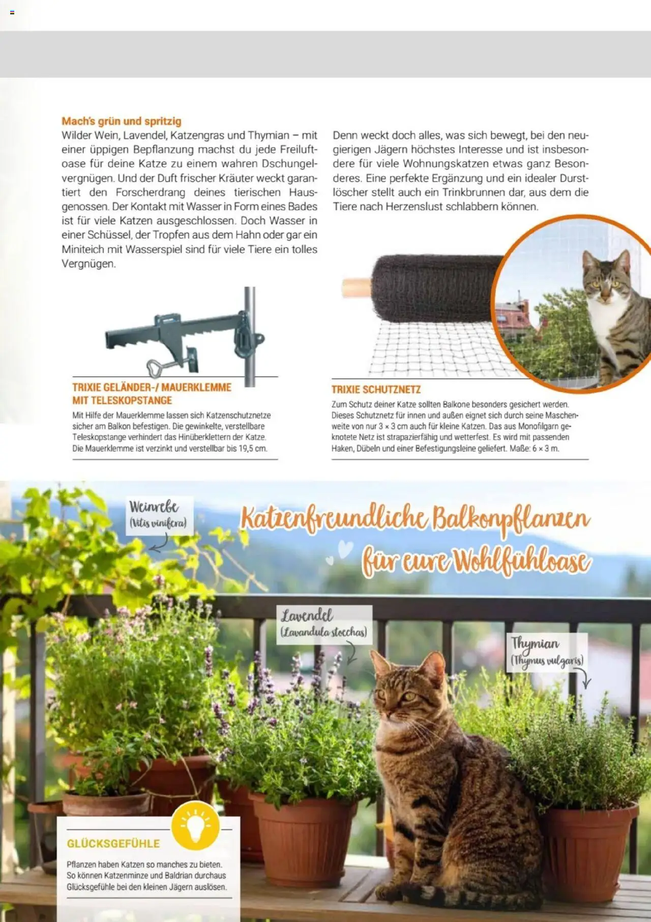 zookauf Themenkatalog Katze – gültig ab 01.10.2025 | Seite: 43 | Produkte: Duft, Wasser, Lavendel