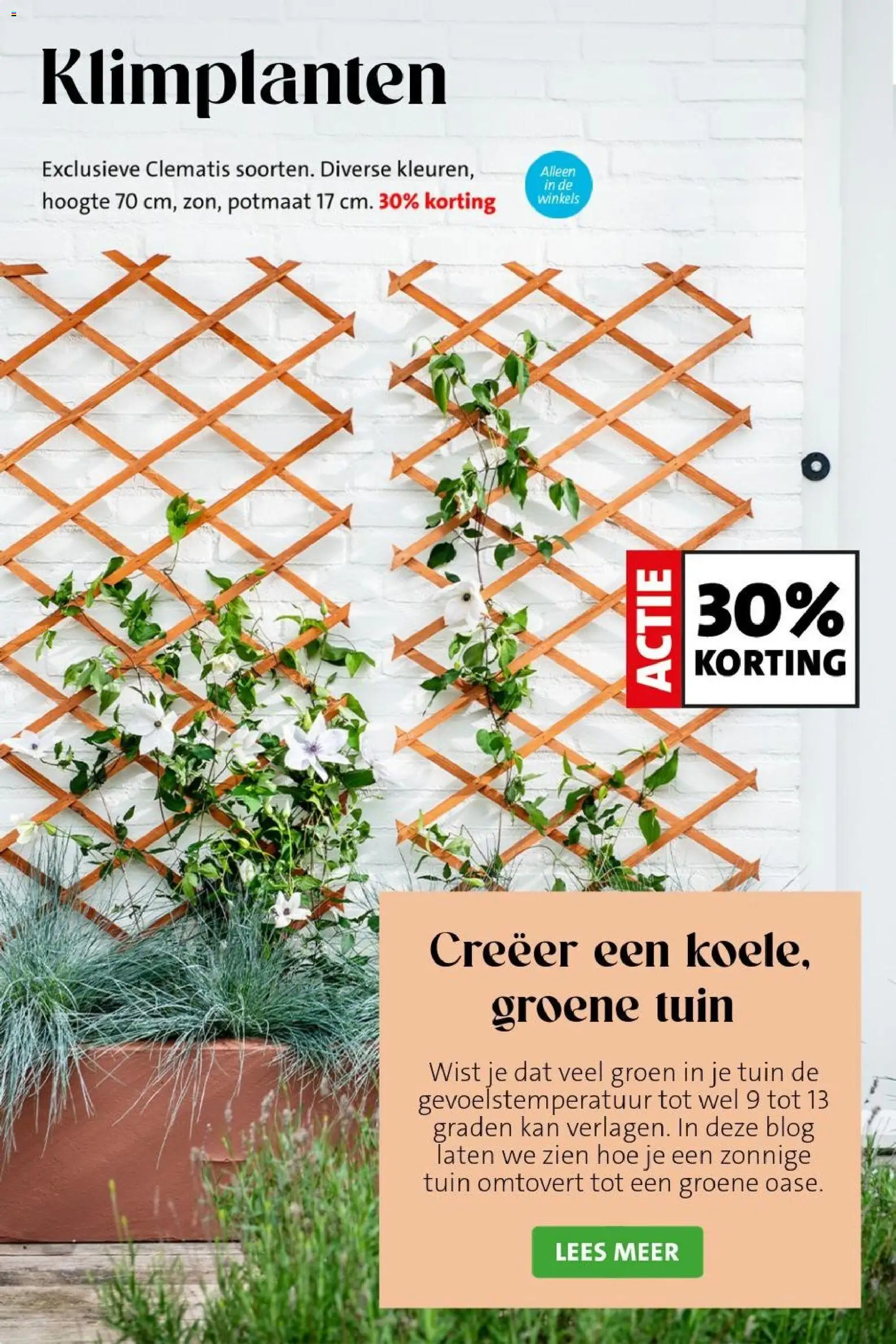 {H1} | Pagina: 8 | Producten: Kan