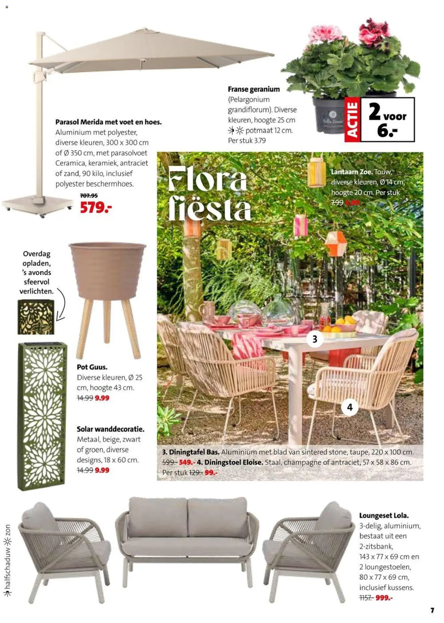 {H1} | Pagina: 7 | Producten: Torta, Pot, Lantaarn