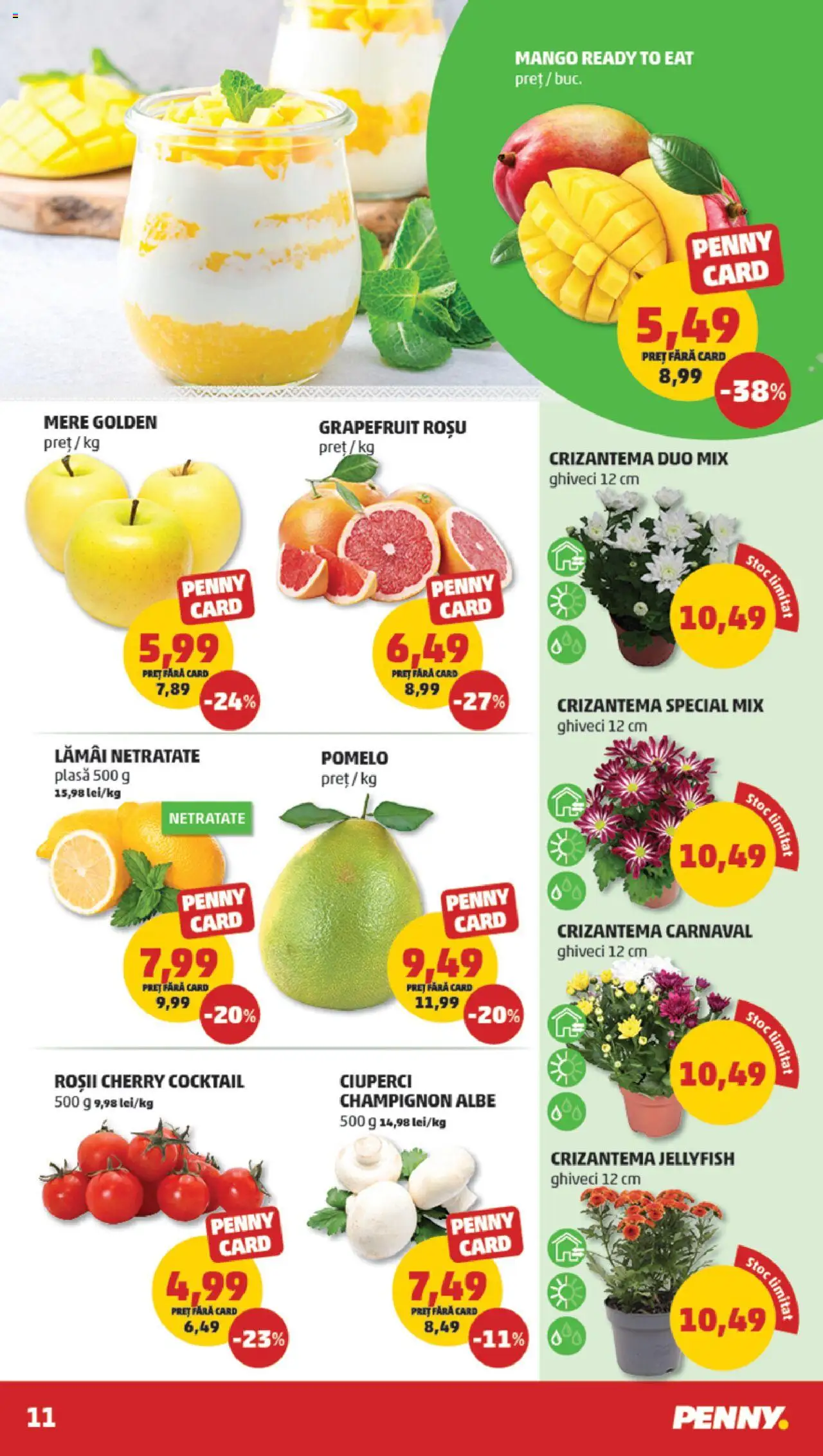 Noul catalog PENNY – valabil de la 17.09.2025 | Pagină: 11 | Produse: Ghiveci, Cocktail, Roșii, Mango