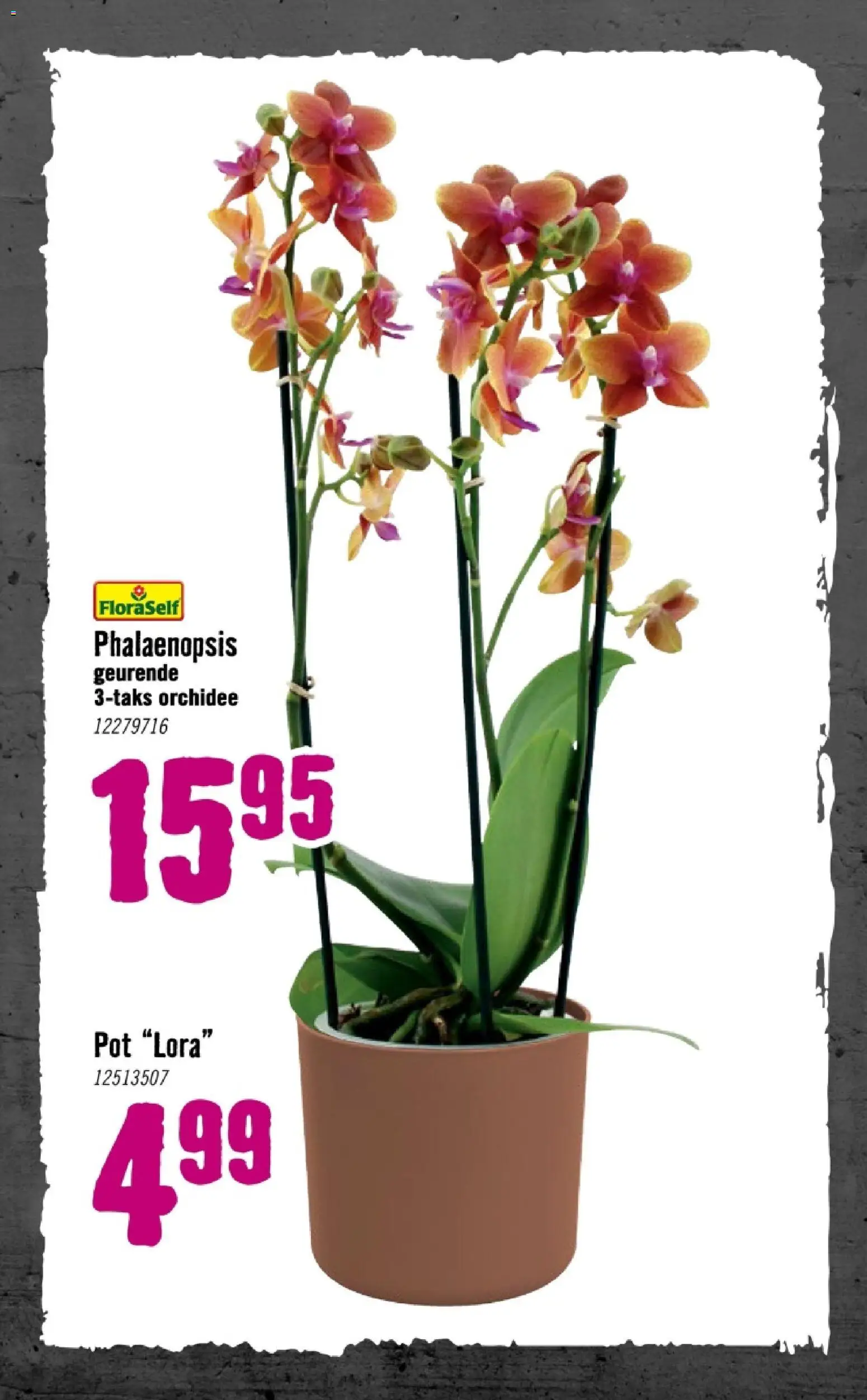 {H1} | Pagina: 73 | Producten: Pot