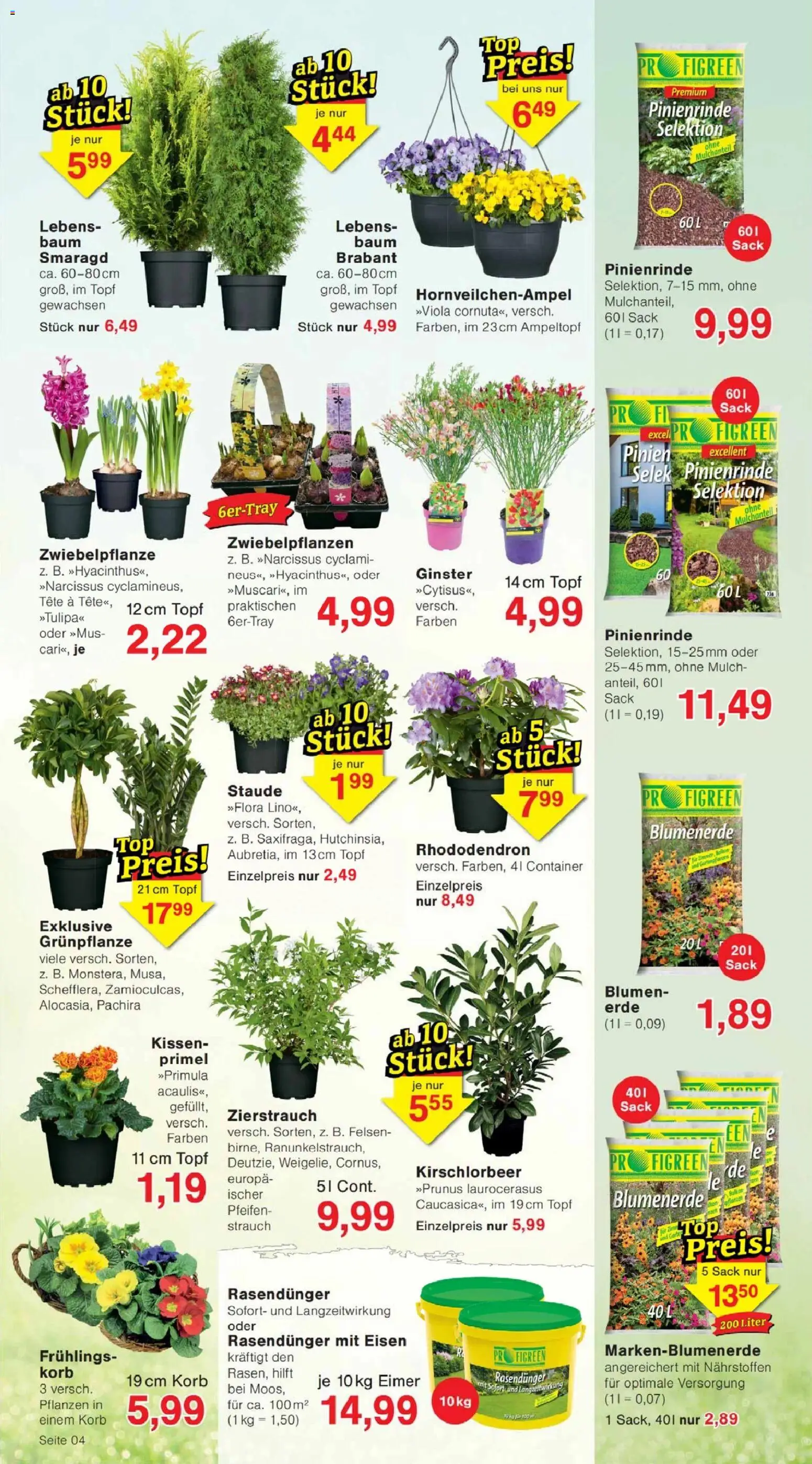 Jawoll Prospekt – gültig ab 23.02.2026 | Seite: 4 | Produkte: Kissen, Korb, Blumen, Blumenerde