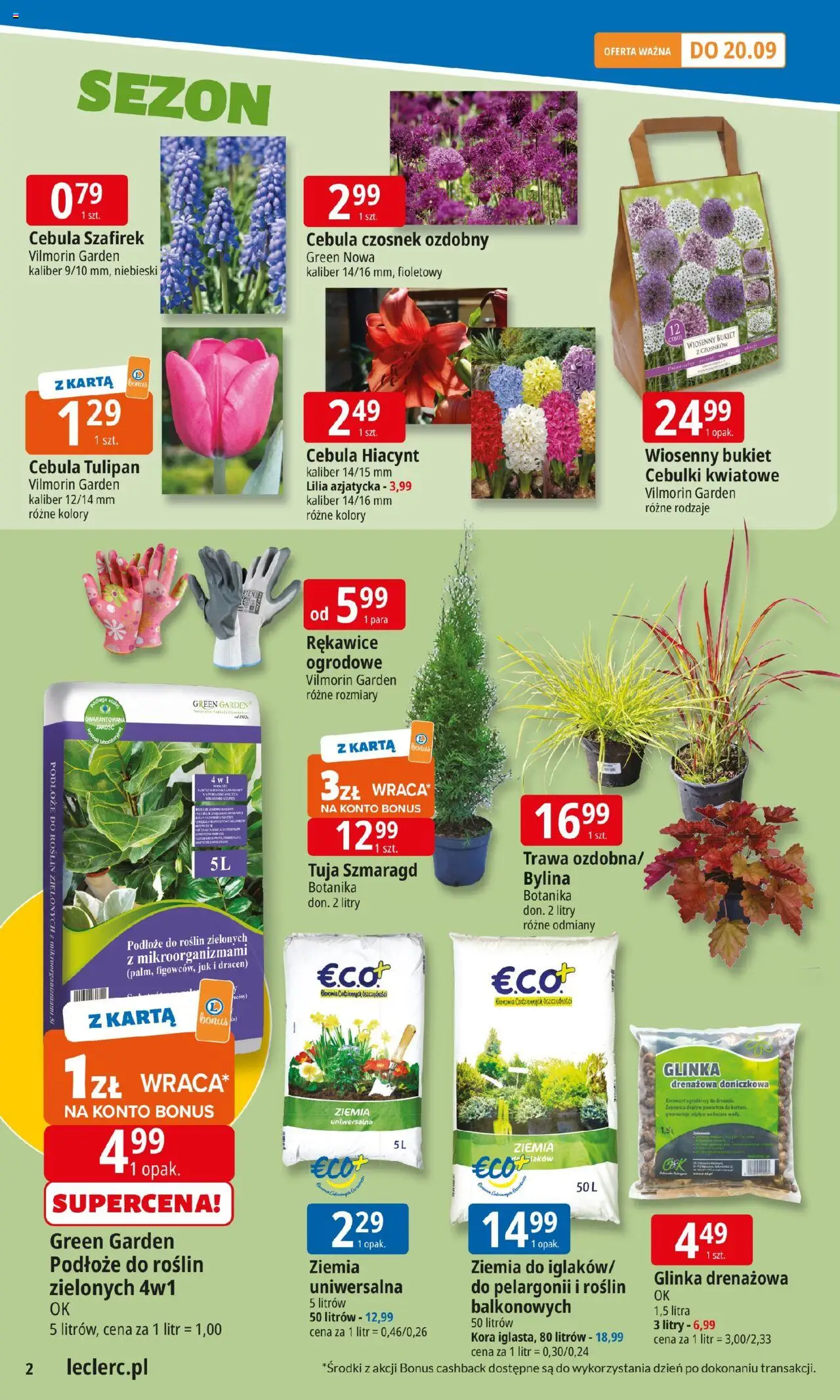 E.Leclerc Gazetka - Zamość od 08.09.2025 | Strona: 2 | Produkty: Czosnek, Karta, Ziemia