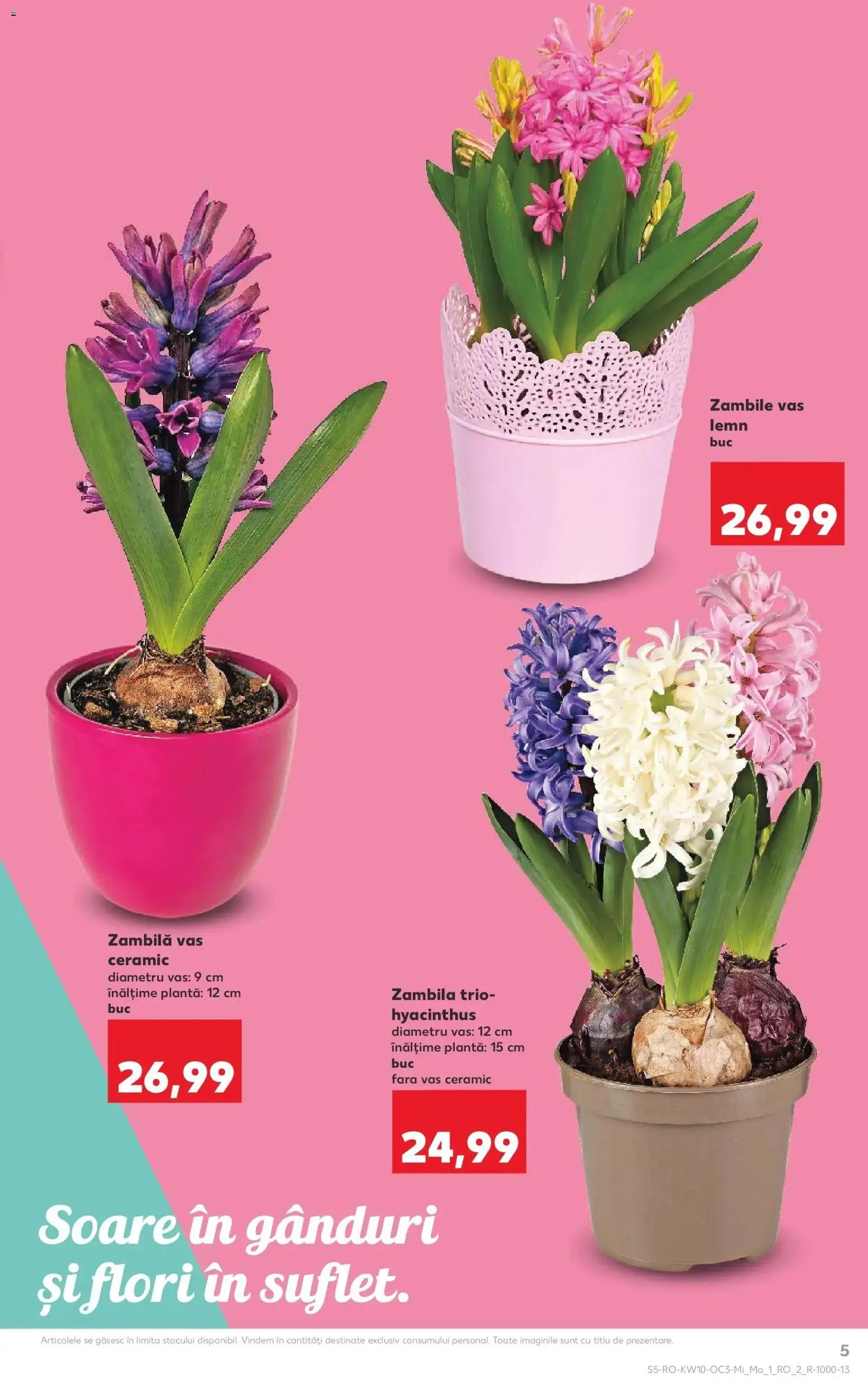 Noul catalog Kaufland – valabil de la 04.03.2026 | Pagină: 5