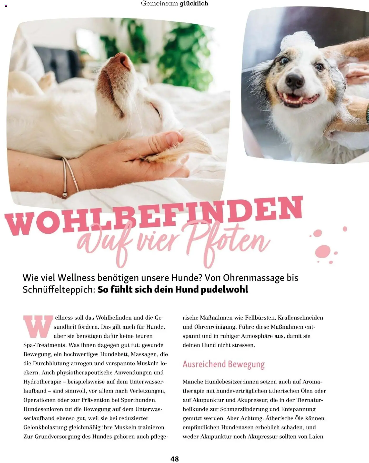 Fressnapf Friends 06/25 gültig ab 01.11.2025 | Seite: 48