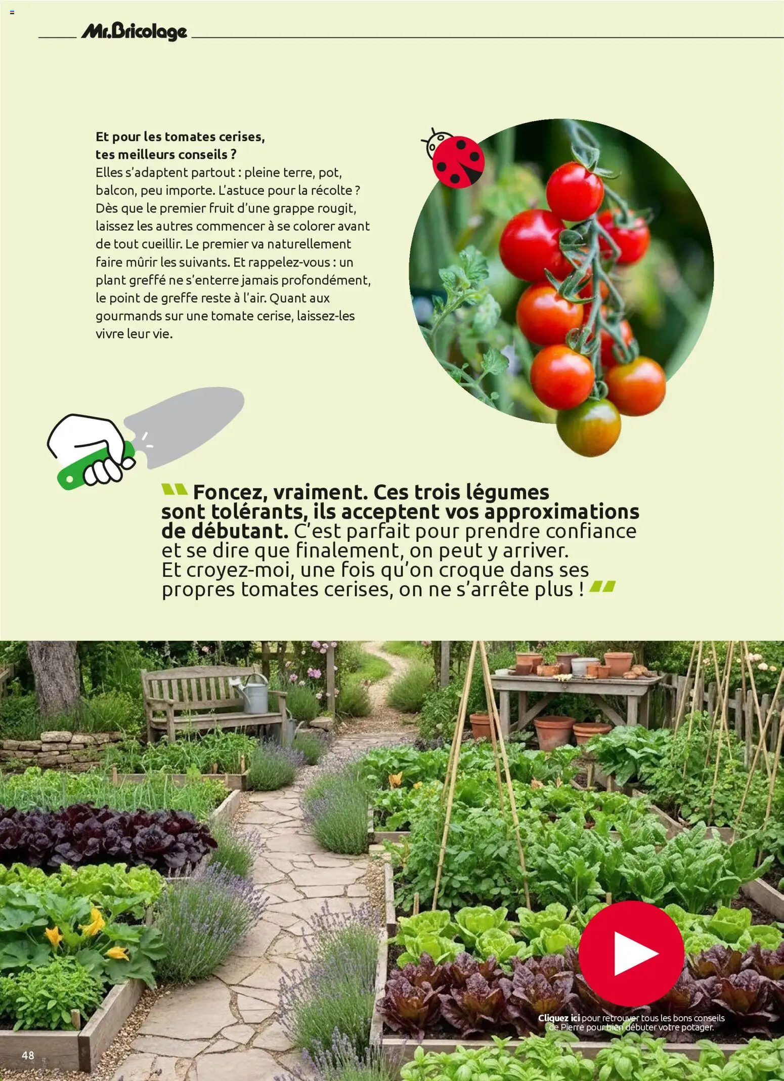 {H1} | Page: 48 | Produits: Tomates