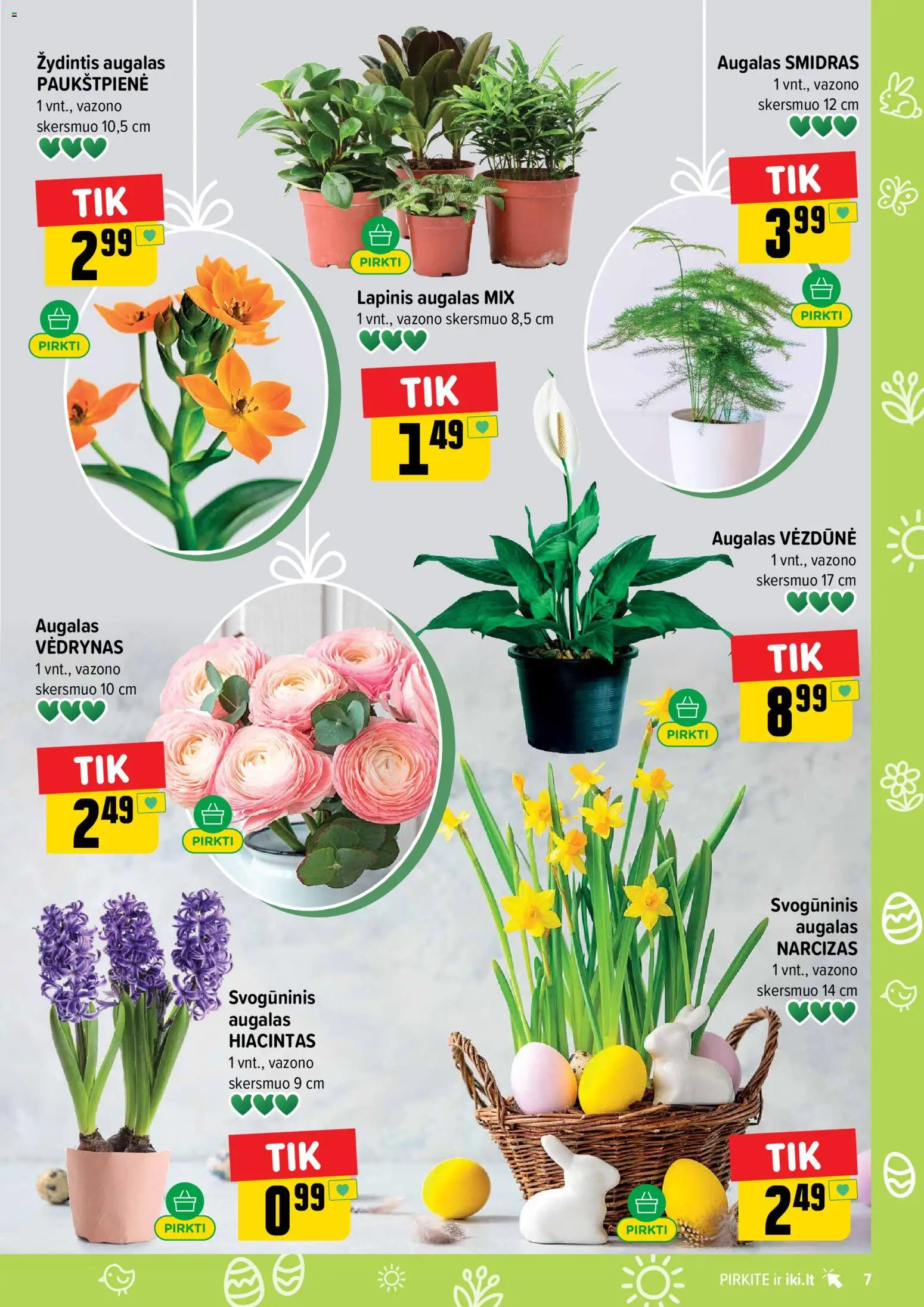 IKI akcijos nuo 16.03.2026 | Puslapis: 7