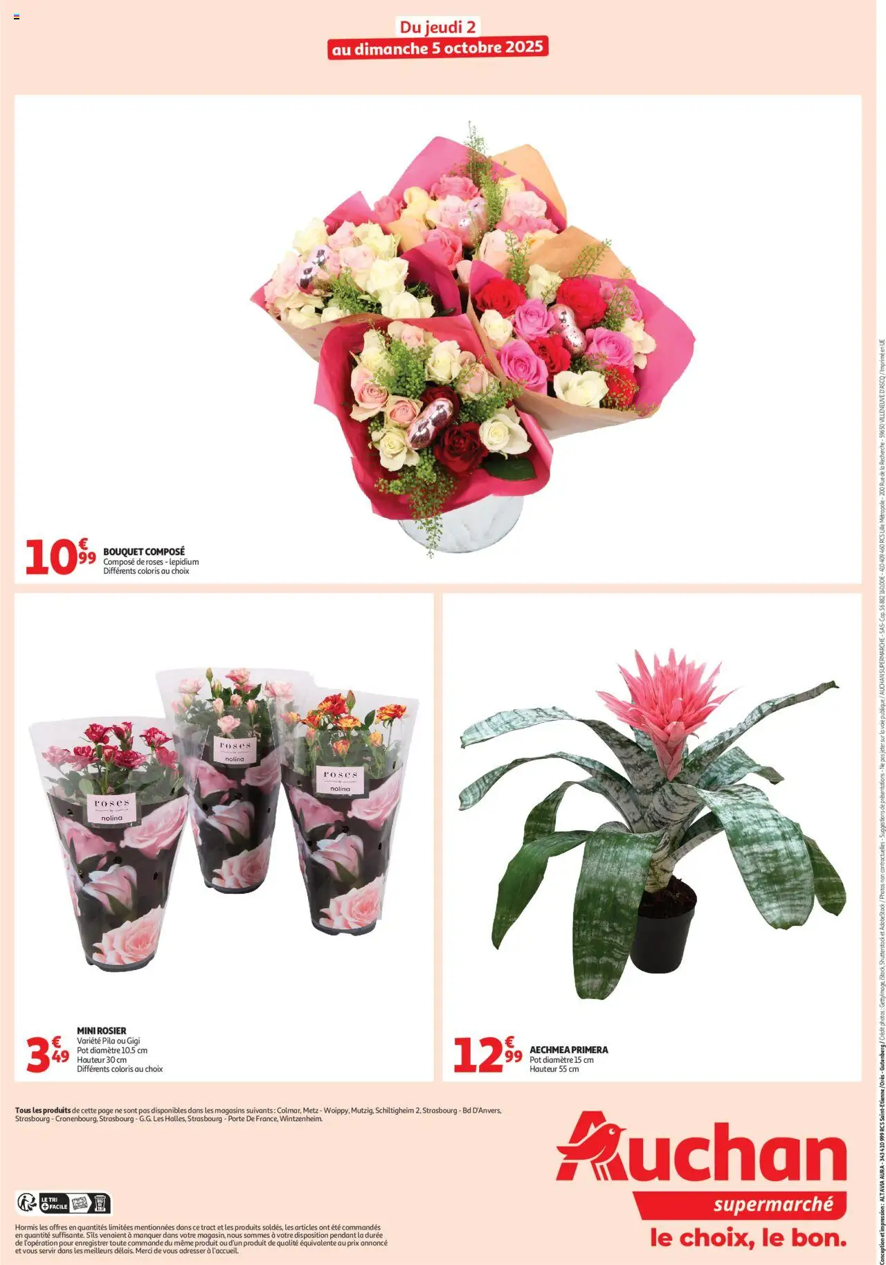 {H1} | Page: 2 | Produits: Rosier, Mini rosier, Porte