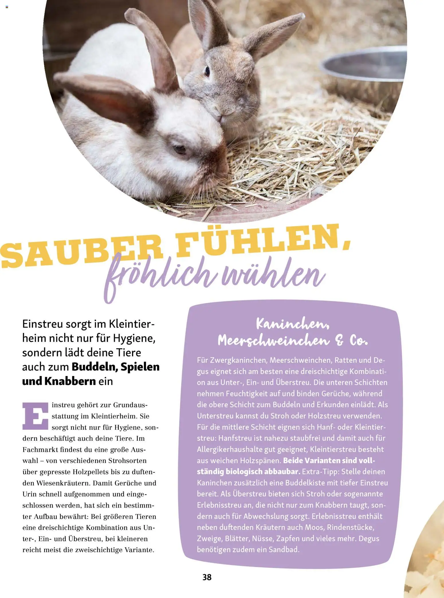 Fressnapf Friends Magazin – gültig ab 01.01.2026 | Seite: 38 | Produkte: Kaninchen