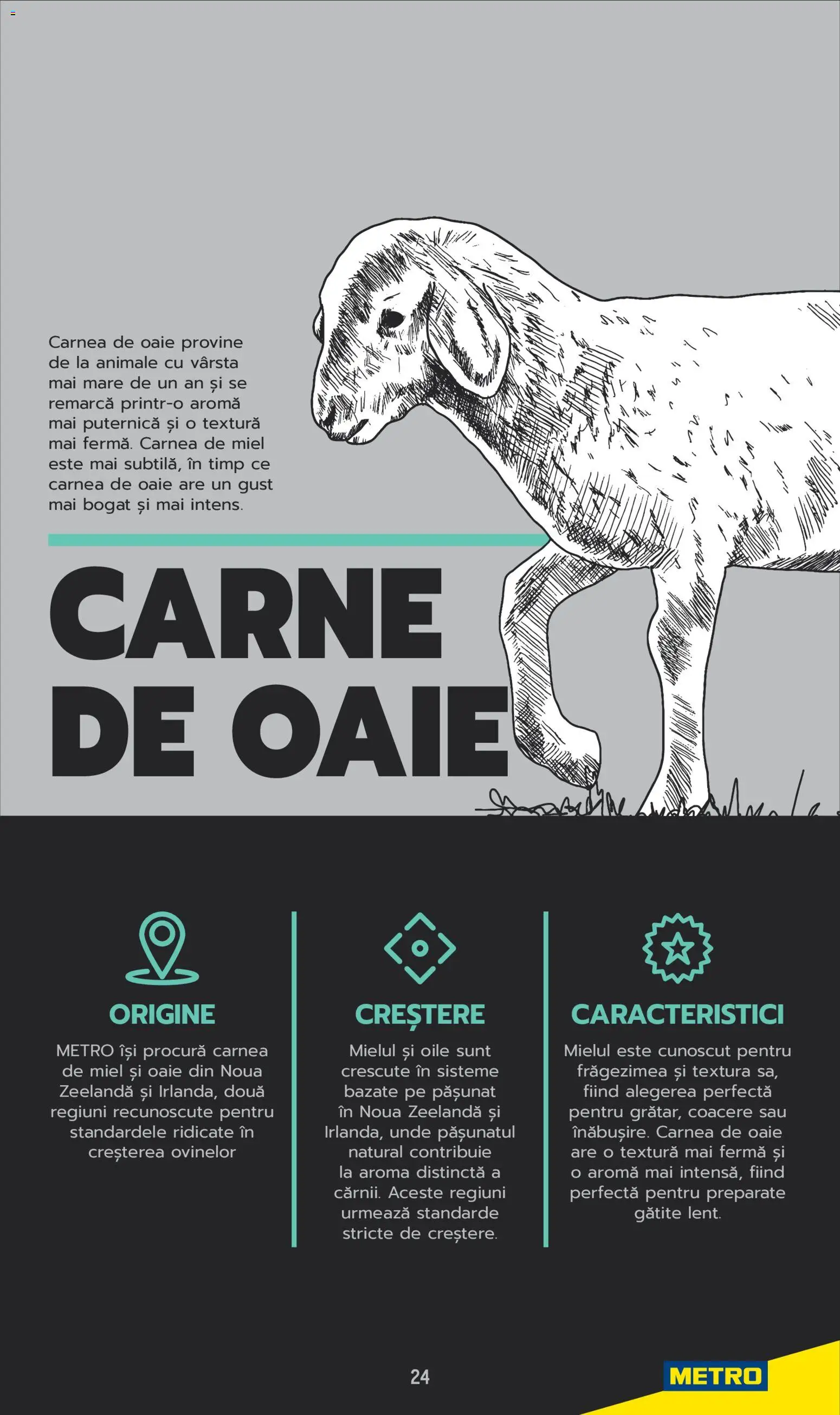 Noul catalog Metro – valabil de la 03.06.2025 | Pagină: 24