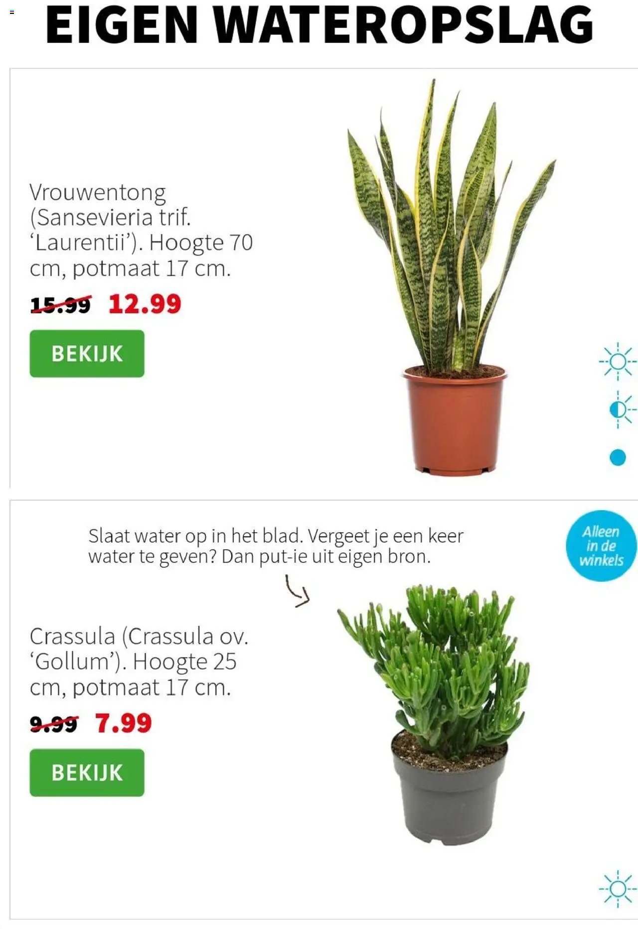  | Pagina: 2 | Producten: Festék