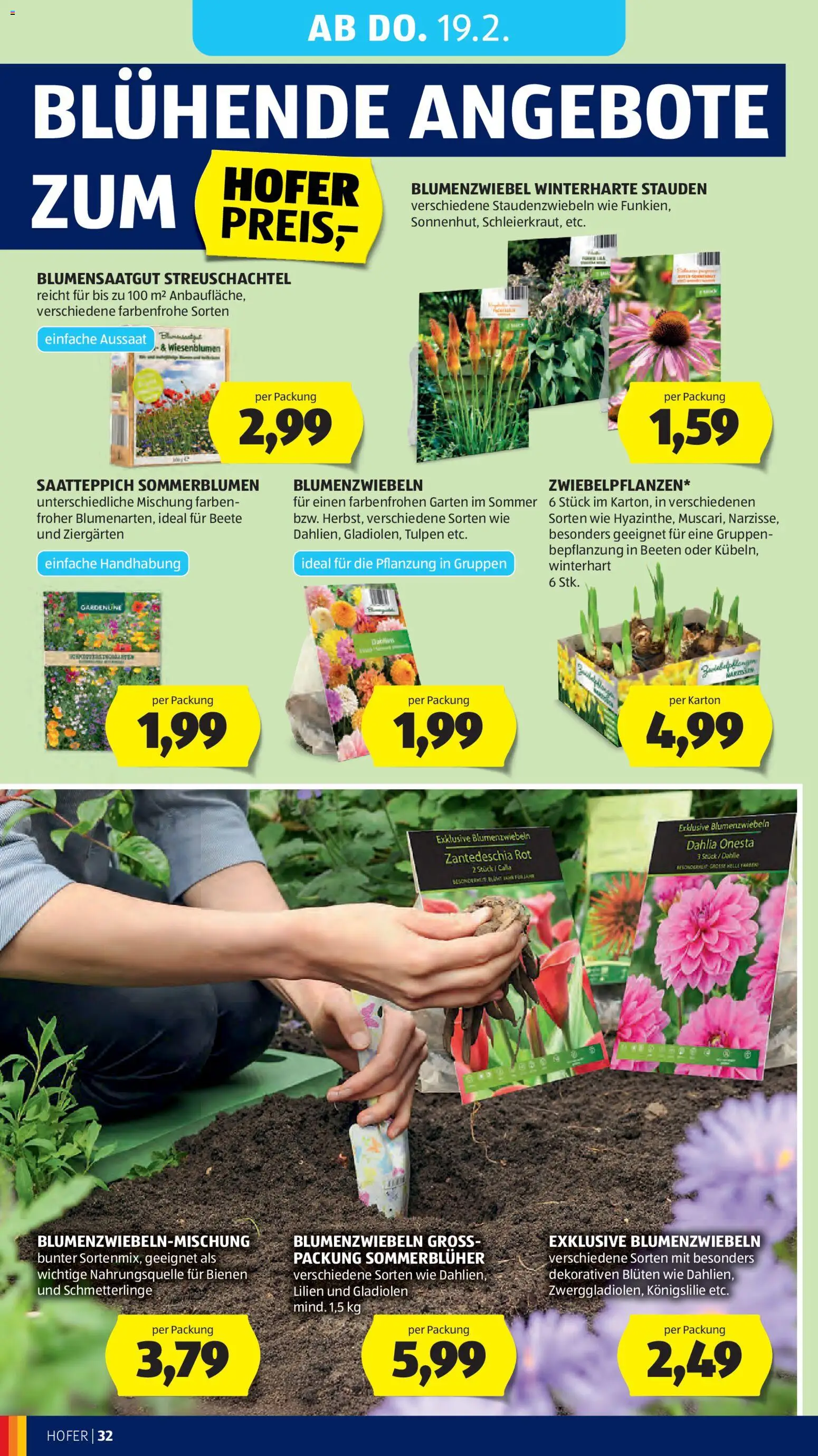 Hofer AT akciós ujság - amely érvényes a következő dátumtól: 13.02.2026 | Oldal: 36