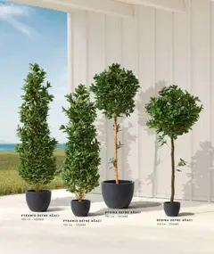 01.01.2026 tarihinden itibaren geçerli olan Mudo kataloğu önizlemesi | Sayfa: 12 | Ürünler: Defne