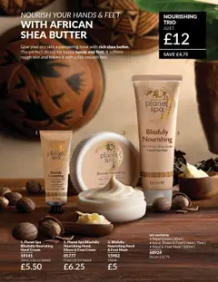 Preview of AVON - Avon Digital Brochure valid from 01.10.2025 | Page: 198