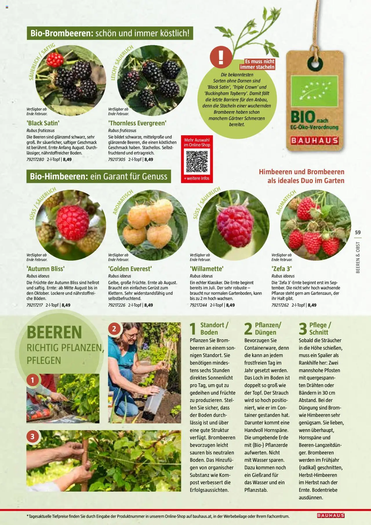 Bauhaus Reiche Ernte Magazin 2025 gültig ab 01.07.2025 | Seite: 59 | Produkte: Wasser, Obst