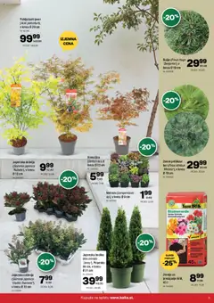 Kalia katalog akcije – veljaven od 20.10.2025 | Stran: 5